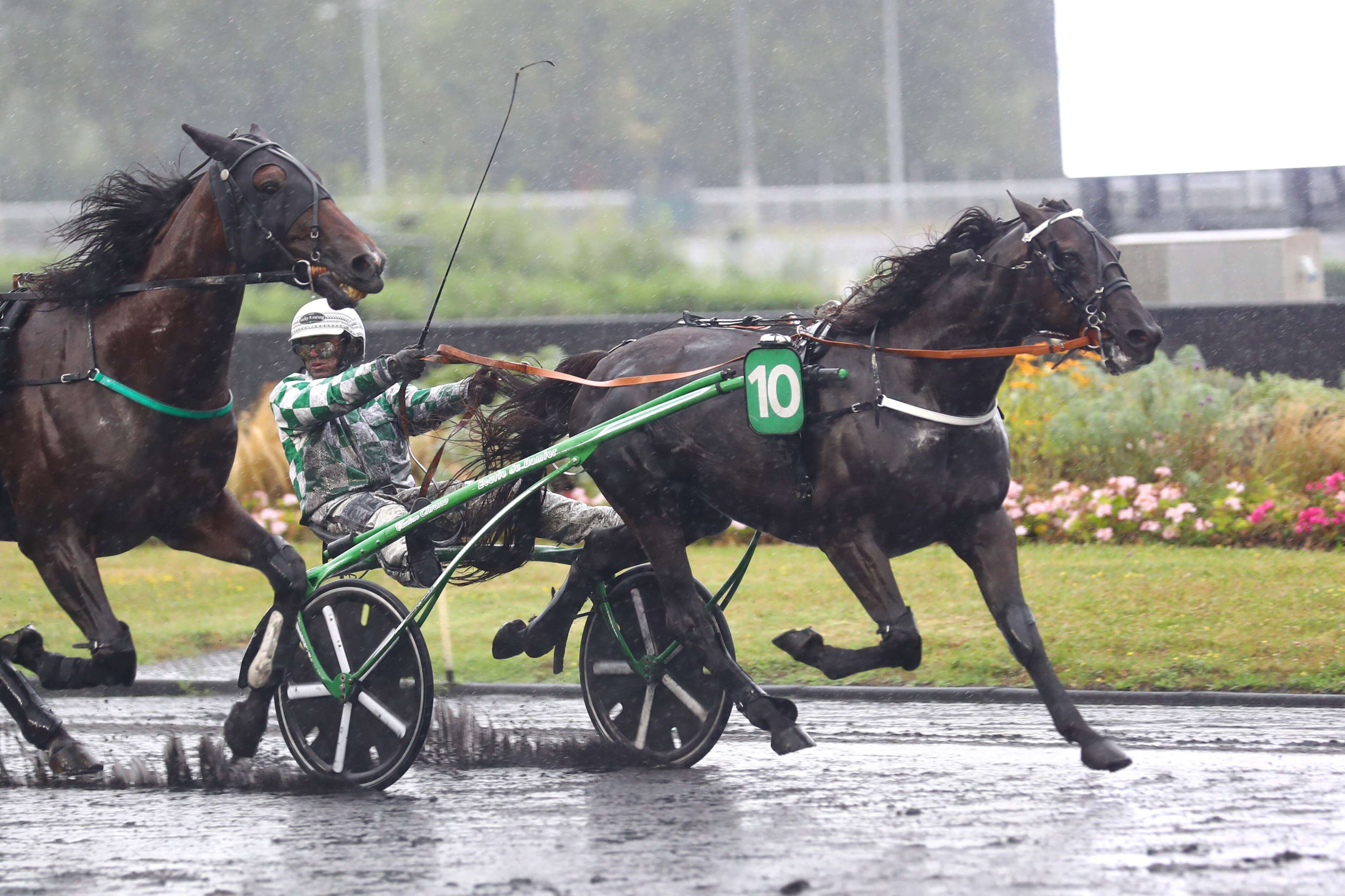 Au départ du Prix Jockey, Justin Bold est « peut-être le cheval d’une vie » pour Jean-Rémi Delliaux, son entraîneur.