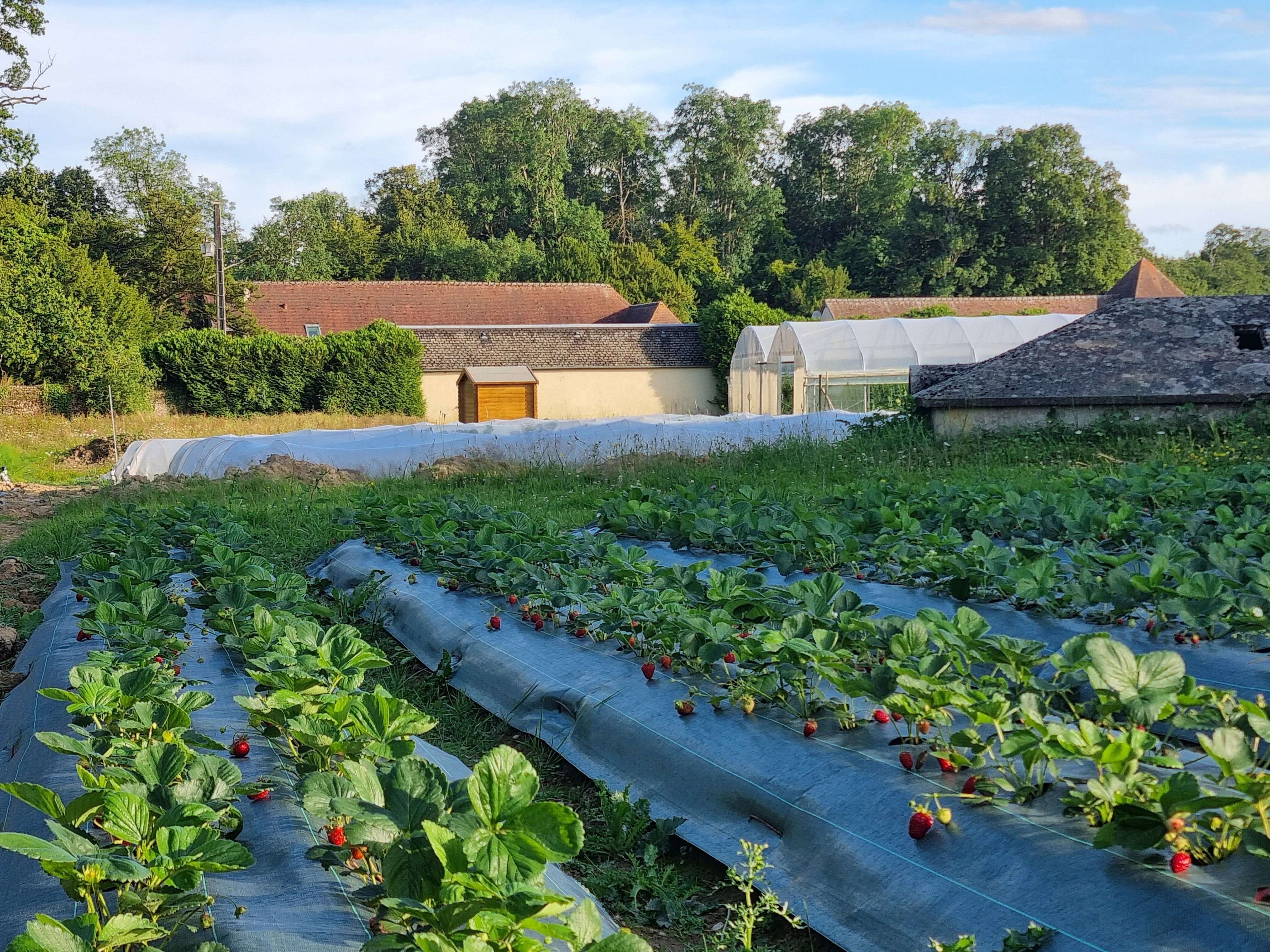 Eure-et-Loir : une formation pour les responsables d’exploitations agricoles vise à « rendre plus désirable le métier »