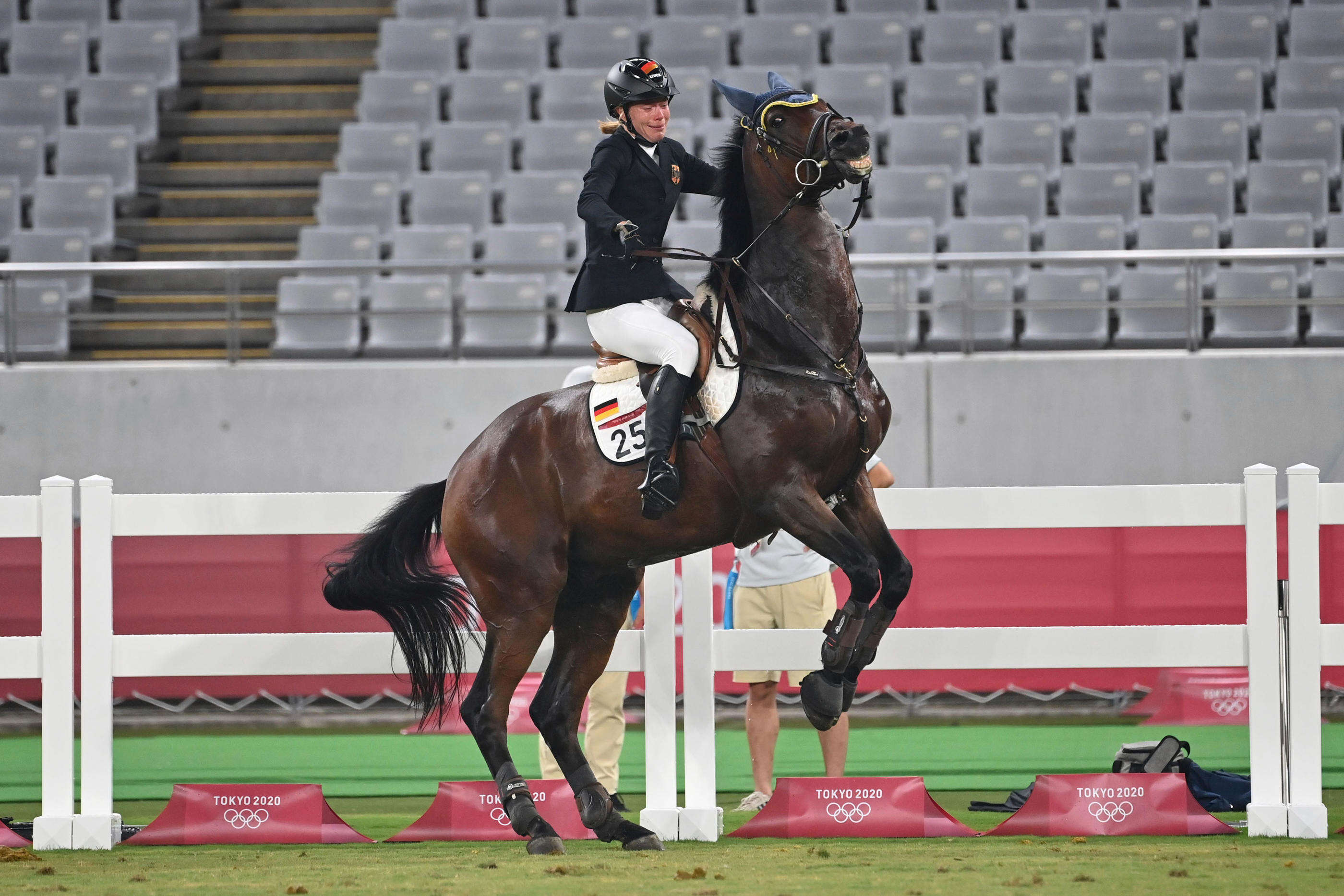 JO Paris 2024 : Saint-Boy, le cheval qui a ému le monde à Tokyo et fait changer les règles du pentathlon