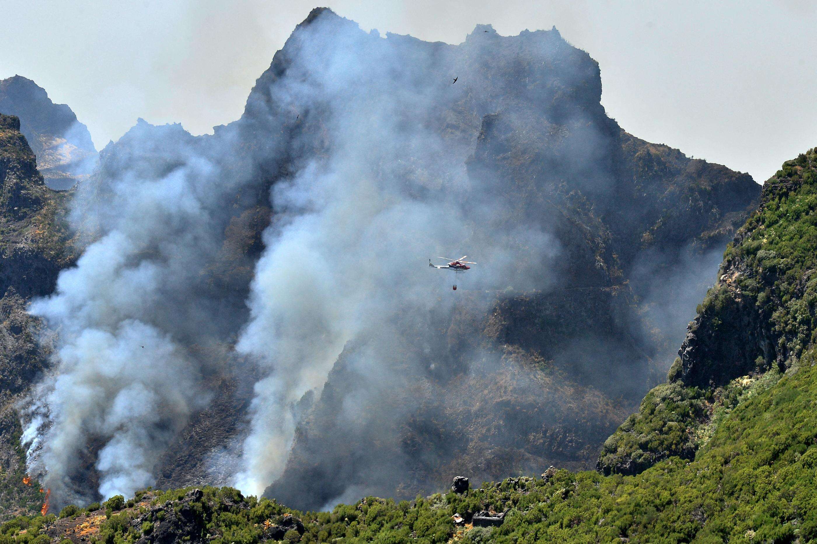 Incendie à Madère : le feu a déjà détruit plus de 4 000 hectares de végétation, le Portugal demande de l’aide à l’UE