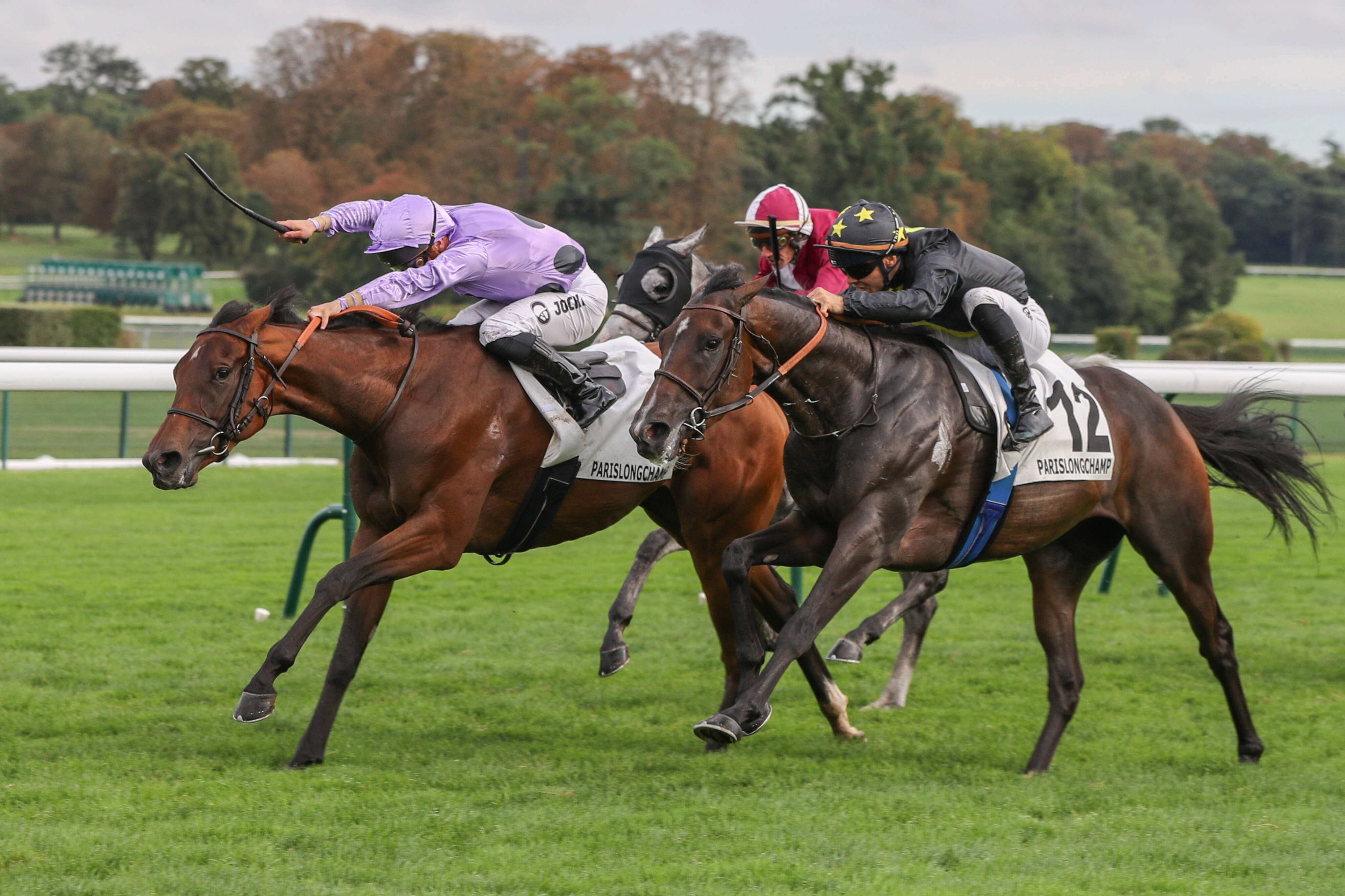 PMU - Arrivée du quinté du jeudi 5 septembre à ParisLongchamp : Kimi Orenda la plus pugnace