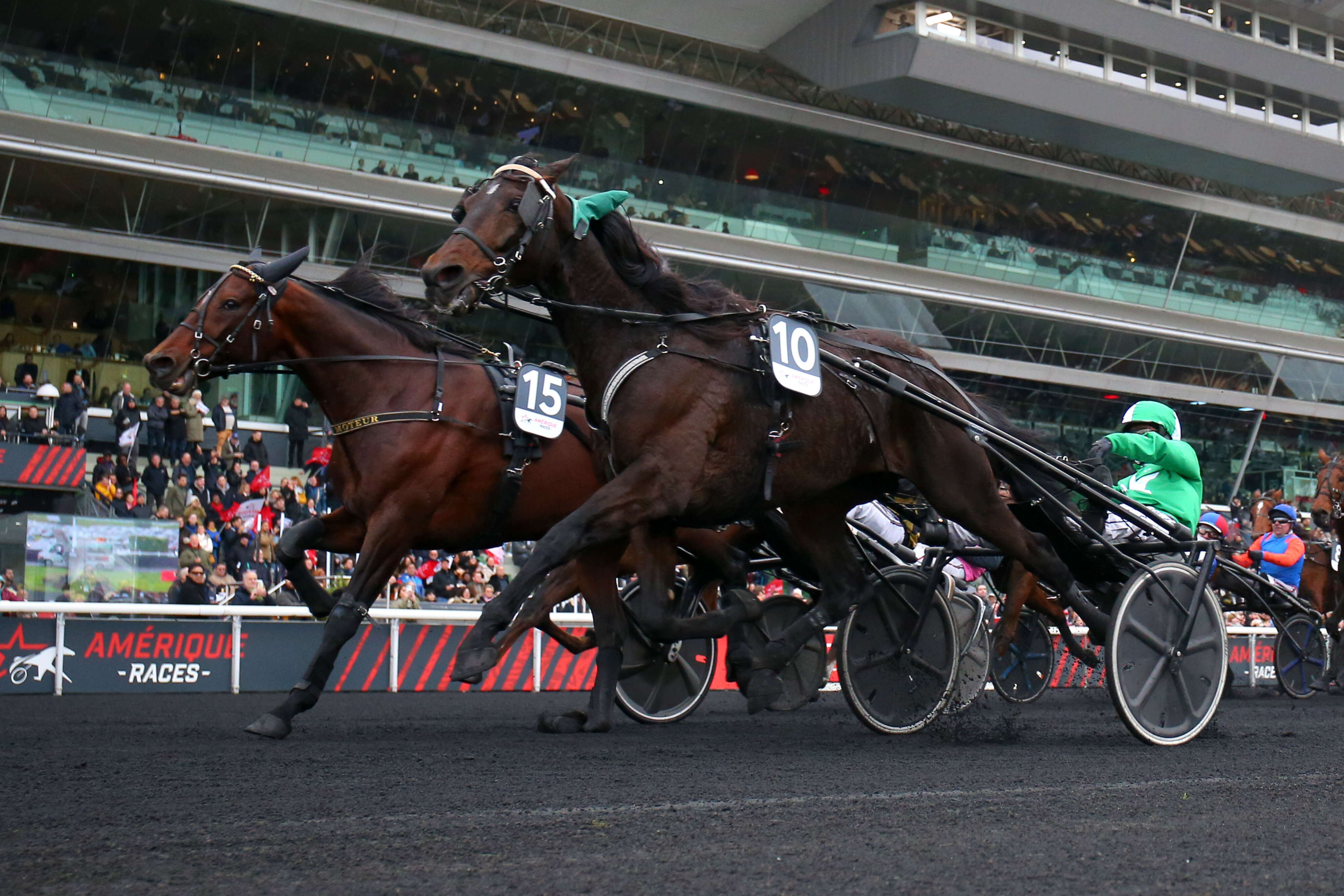 PMU - Arrivée du quinté du dimanche 17 novembre à Paris-Vincennes : Hussard du Landret premier qualifié pour l’Amérique