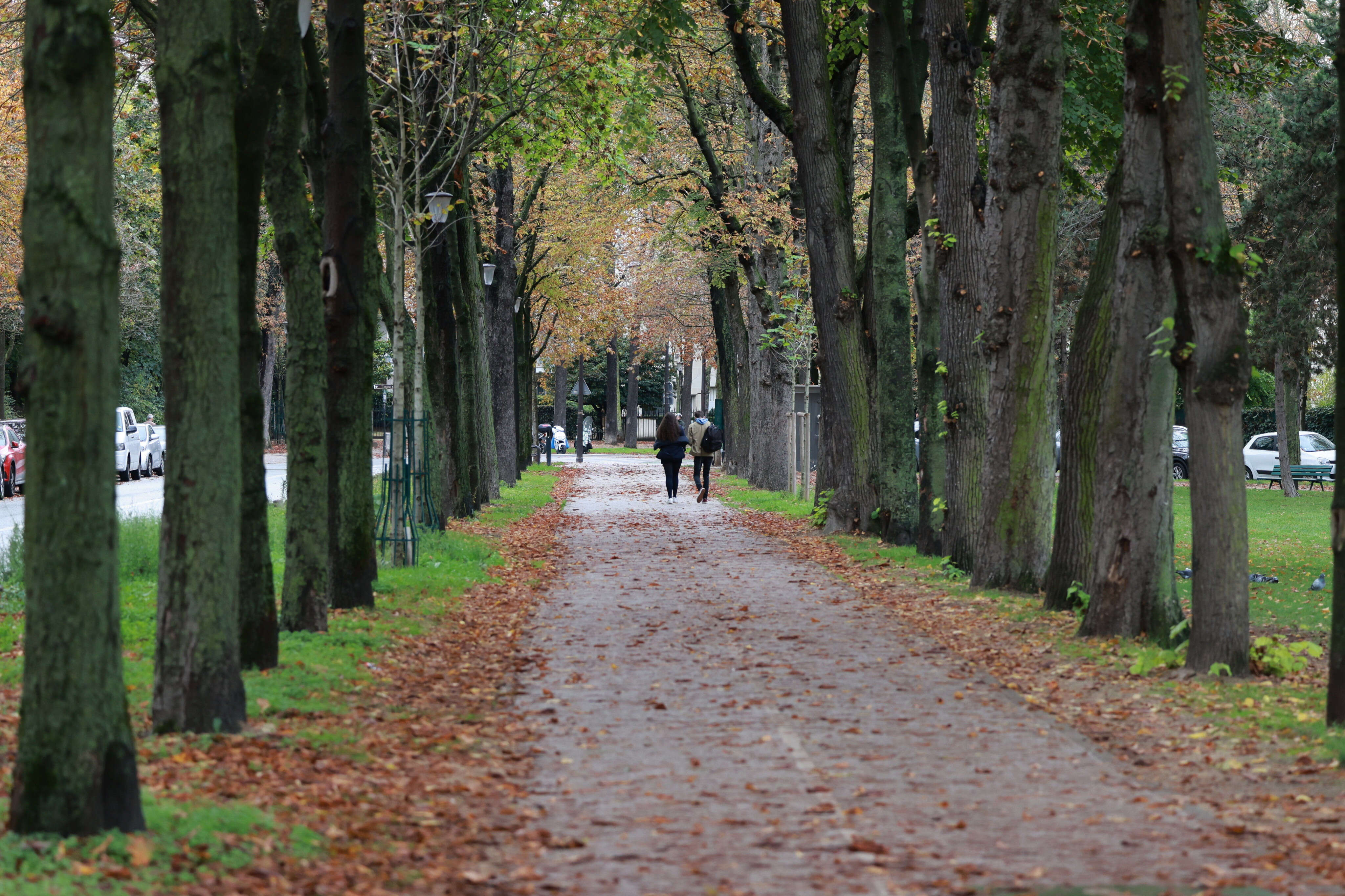 Meurtre de Philippine : Valérie Pécresse propose de cofinancer la vidéosurveillance dans les bois parisiens