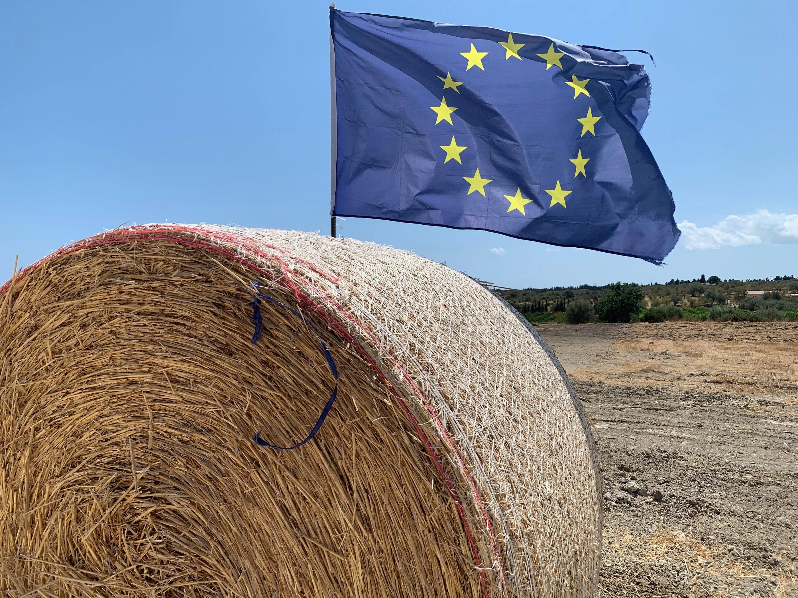 Le démantèlement de la PAC pourrait être « dévastateur » pour l’agriculture française, selon les chambres