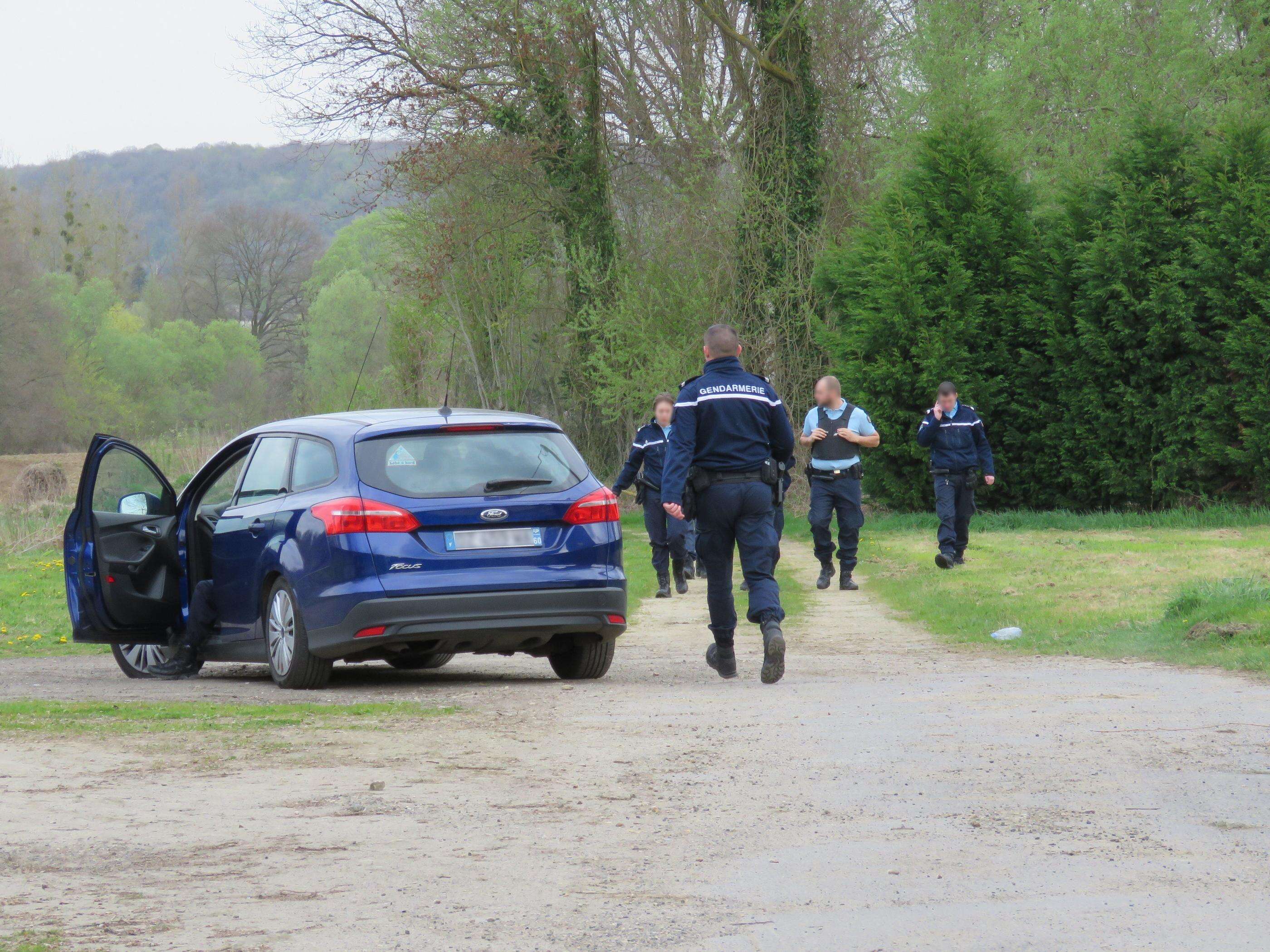 Une centaine de gendarmes déployés pour retrouver un octogénaire perdu en forêt