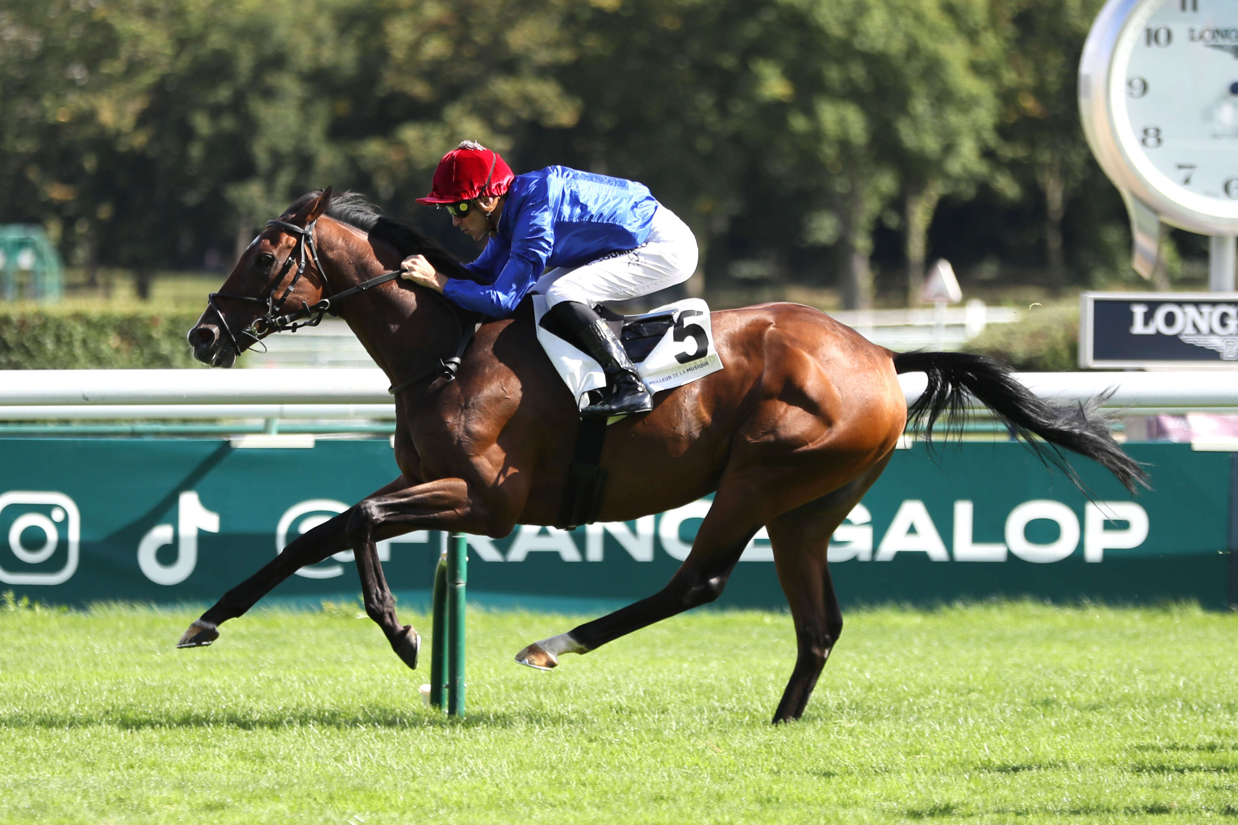 PMU – Arrivée du quinté du dimanche 8 septembre à ParisLongchamp : Monty domine ses cadets