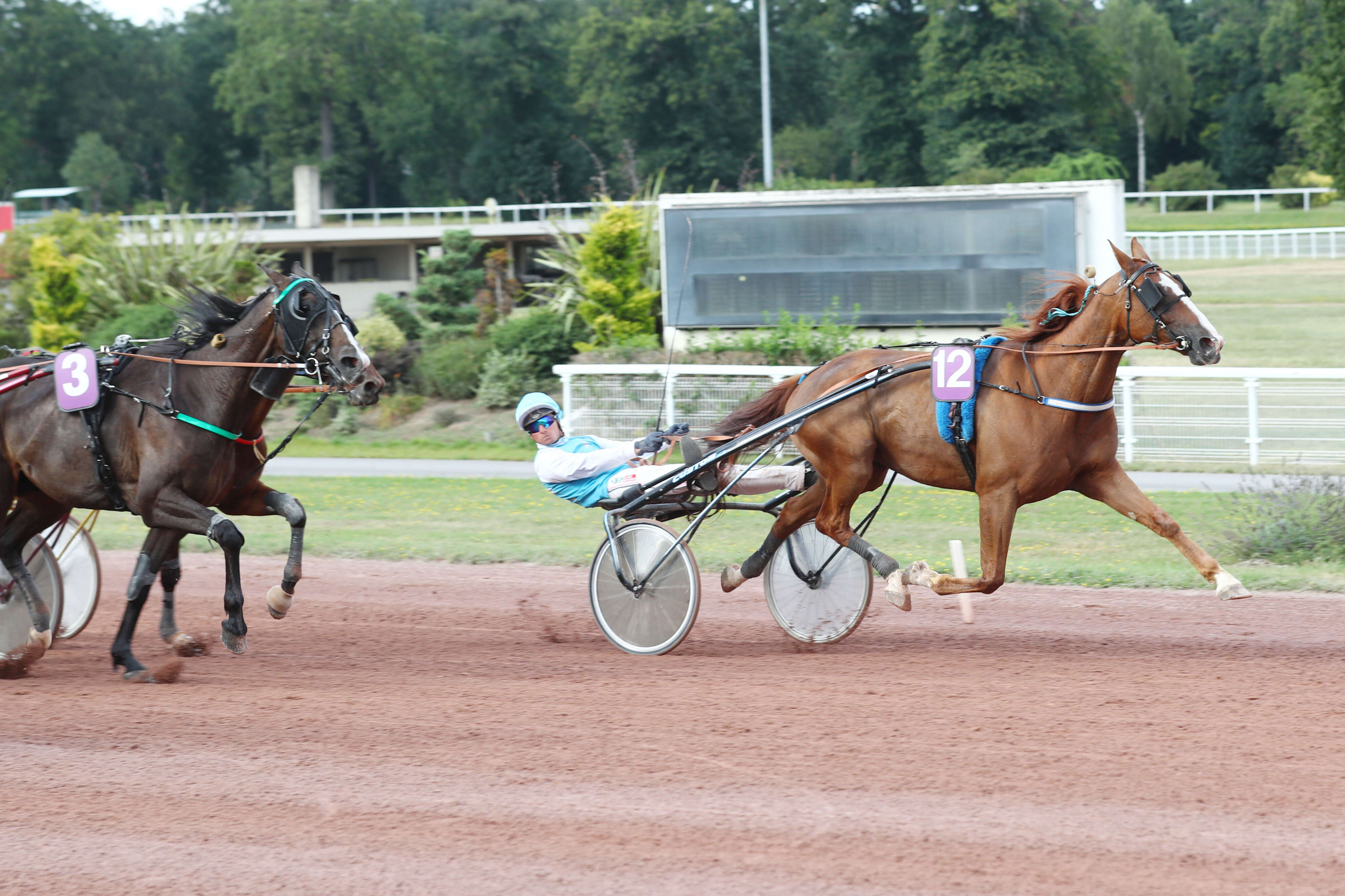 PMU - Arrivée du quinté du mercredi 14 août à Enghien : Harry Cohiais fait durer le plaisir