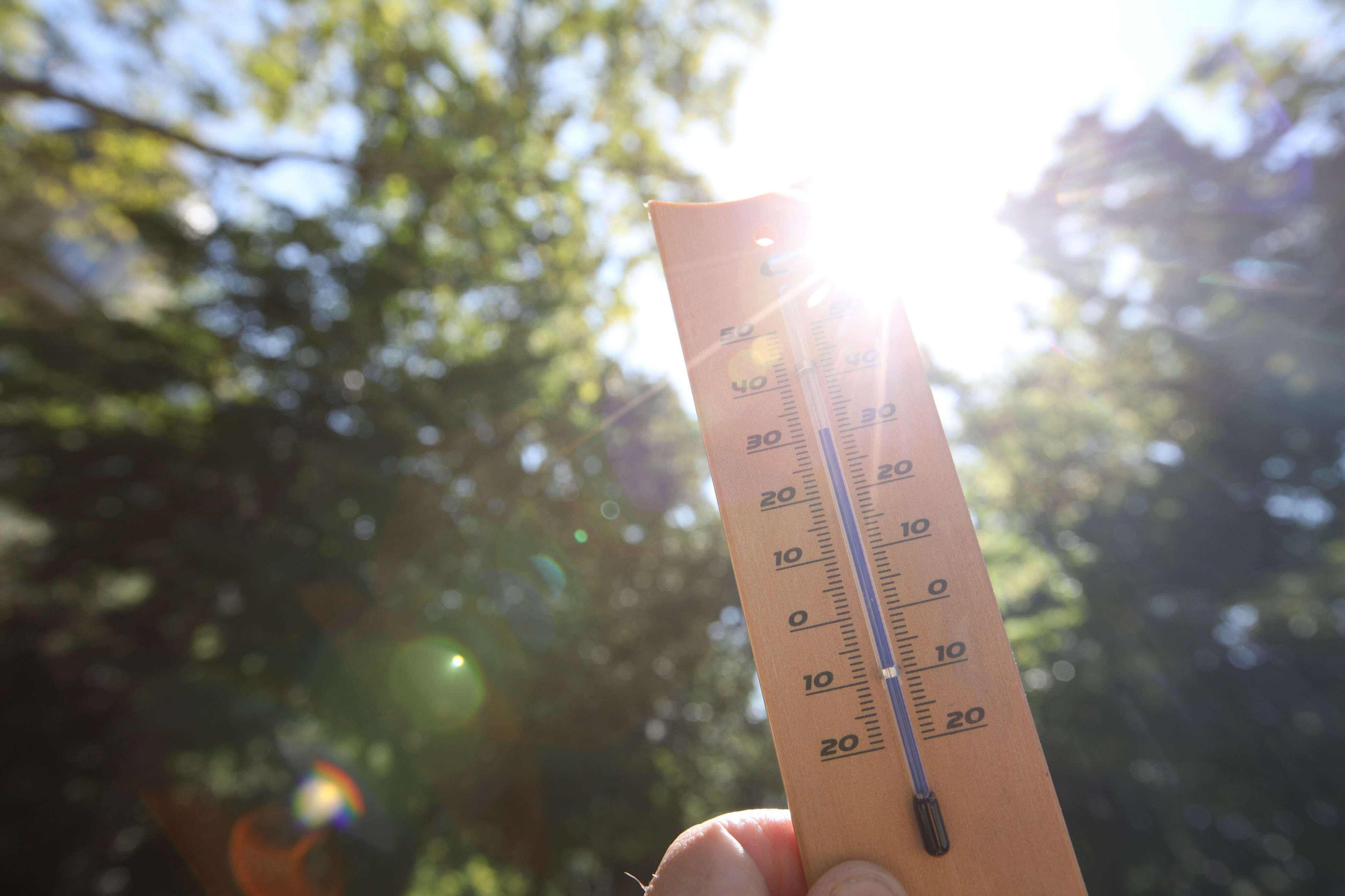 +1,8 °C, plus de nuits tropicales… la région Paca, première touchée par la hausse future des températures