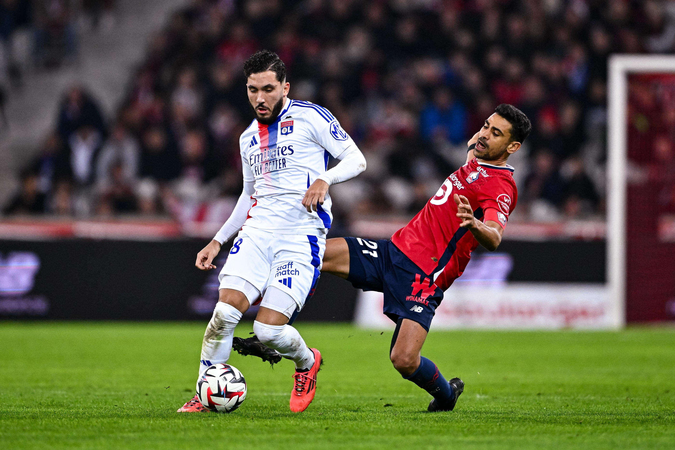 Lille-Lyon (1-1) : le LOSC freiné par l’OL en toute fin de rencontre