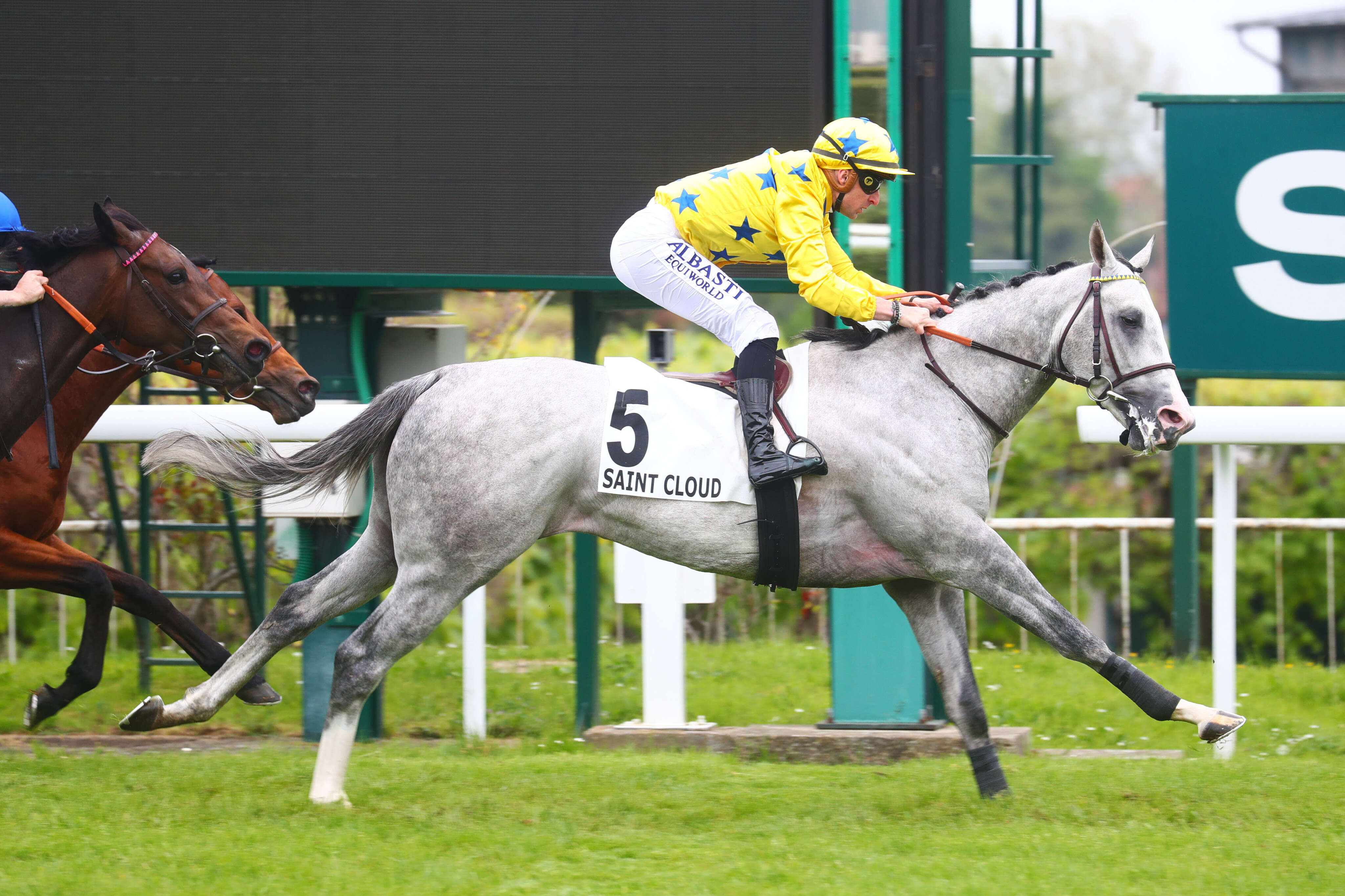 PMU - Arrivée du quinté du mercredi 1er mai à Saint-Cloud : Georges Ville termine à la vitesse du vent