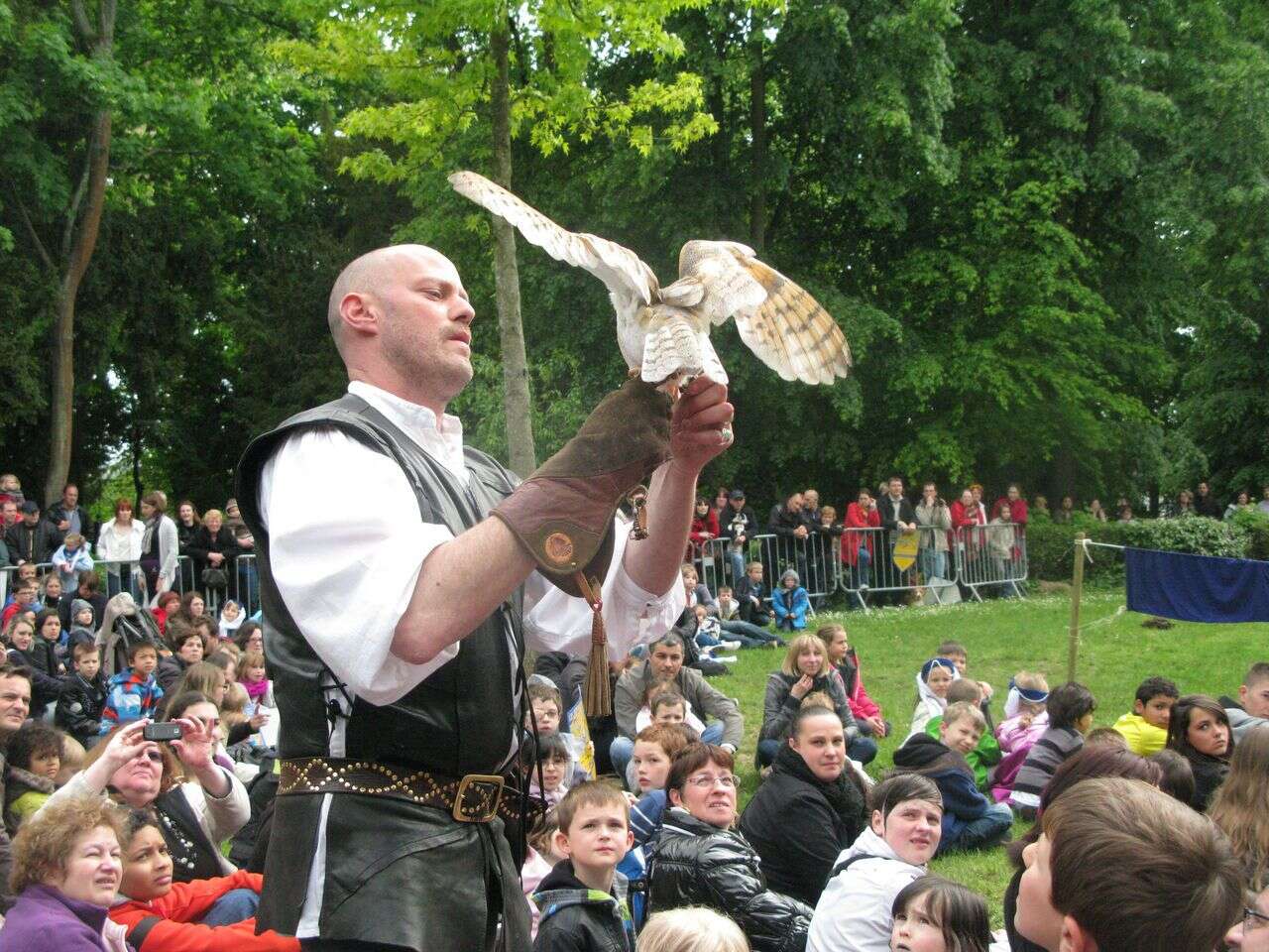 Brie-Comte-Robert renonce définitivement aux spectacles de rapaces à la fête médiévale