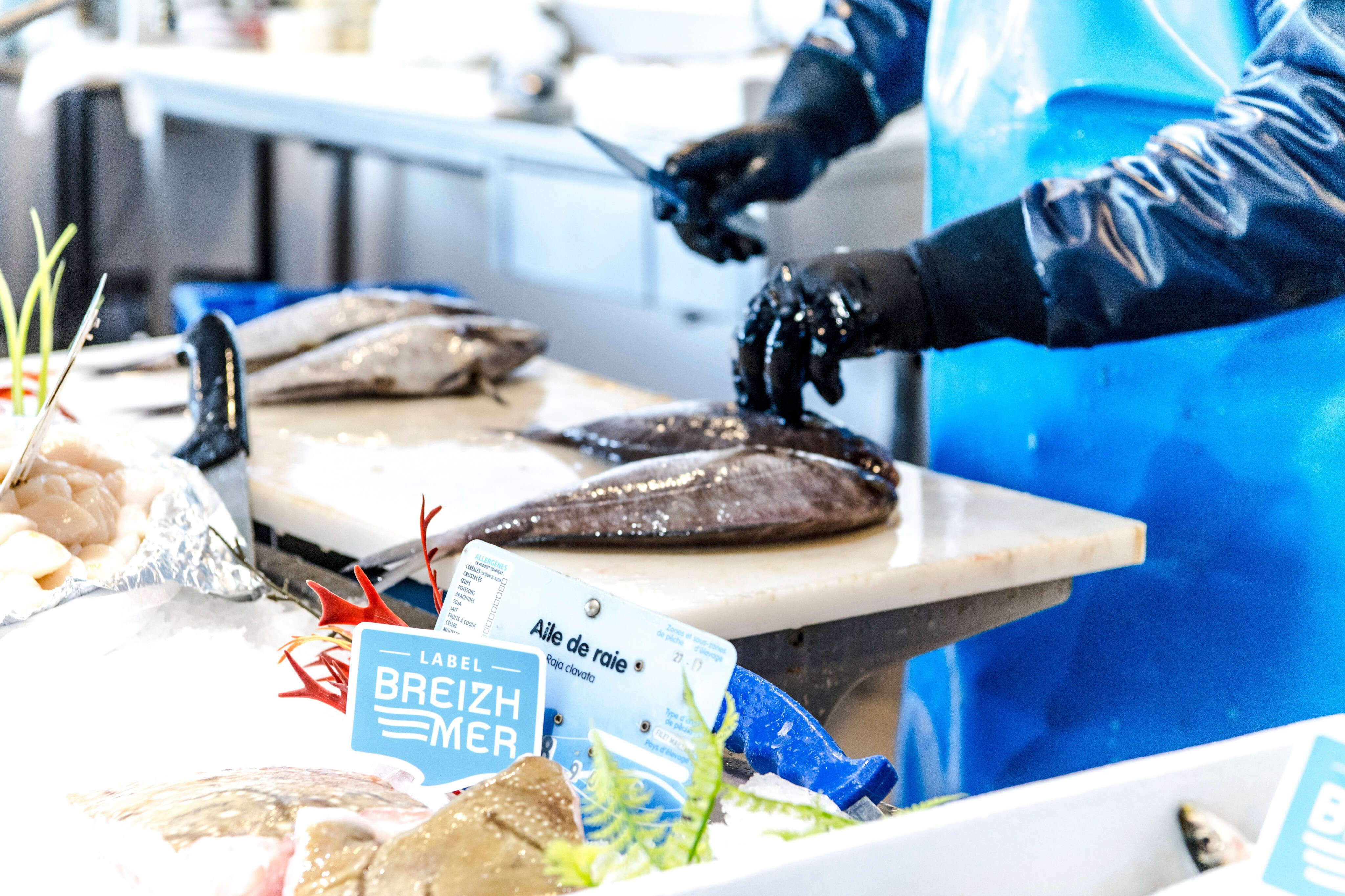 BreizhMer, un nouveau label pour acheter des poissons et des crustacés 100 % bretons