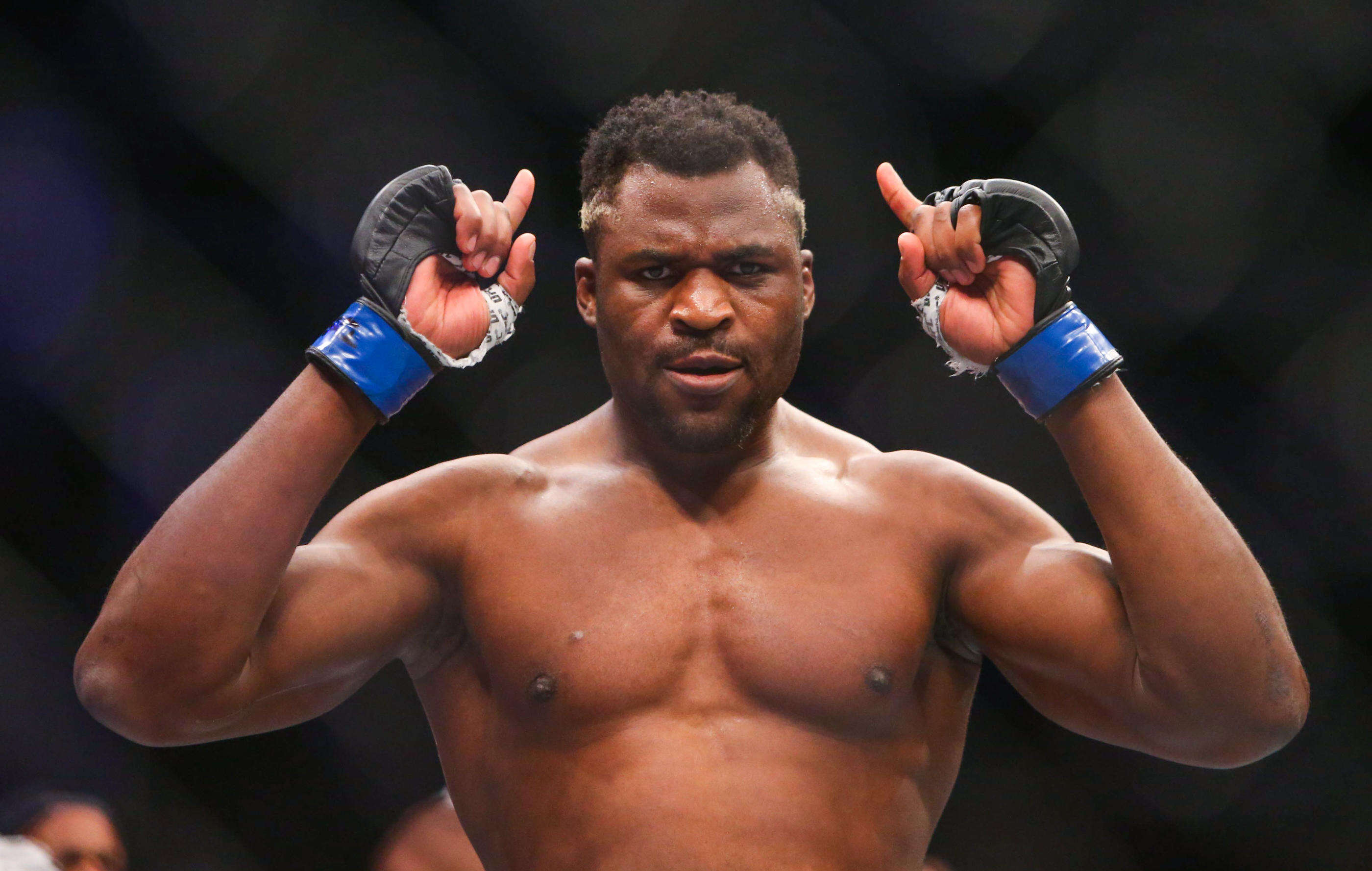 MMA : Francis Ngannou de retour dans la cage pour affronter le Brésilien Renan Ferreira au PFL