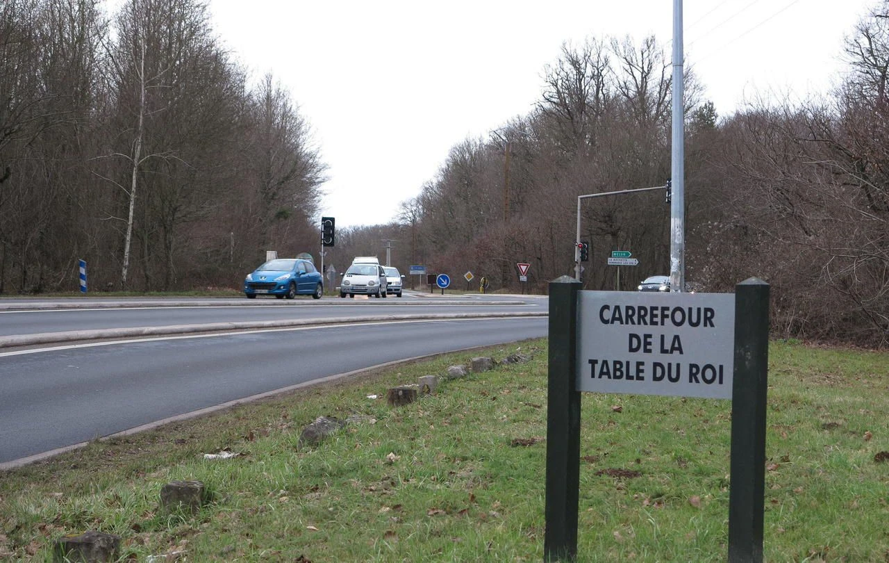 Bois-le-Roi : un corps en décomposition découvert en forêt tout près du carrefour de la Table-du-Roi