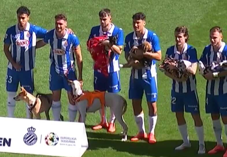 Football : l’Espanyol Barcelone entre sur le terrain accompagné… de chiens abandonnés