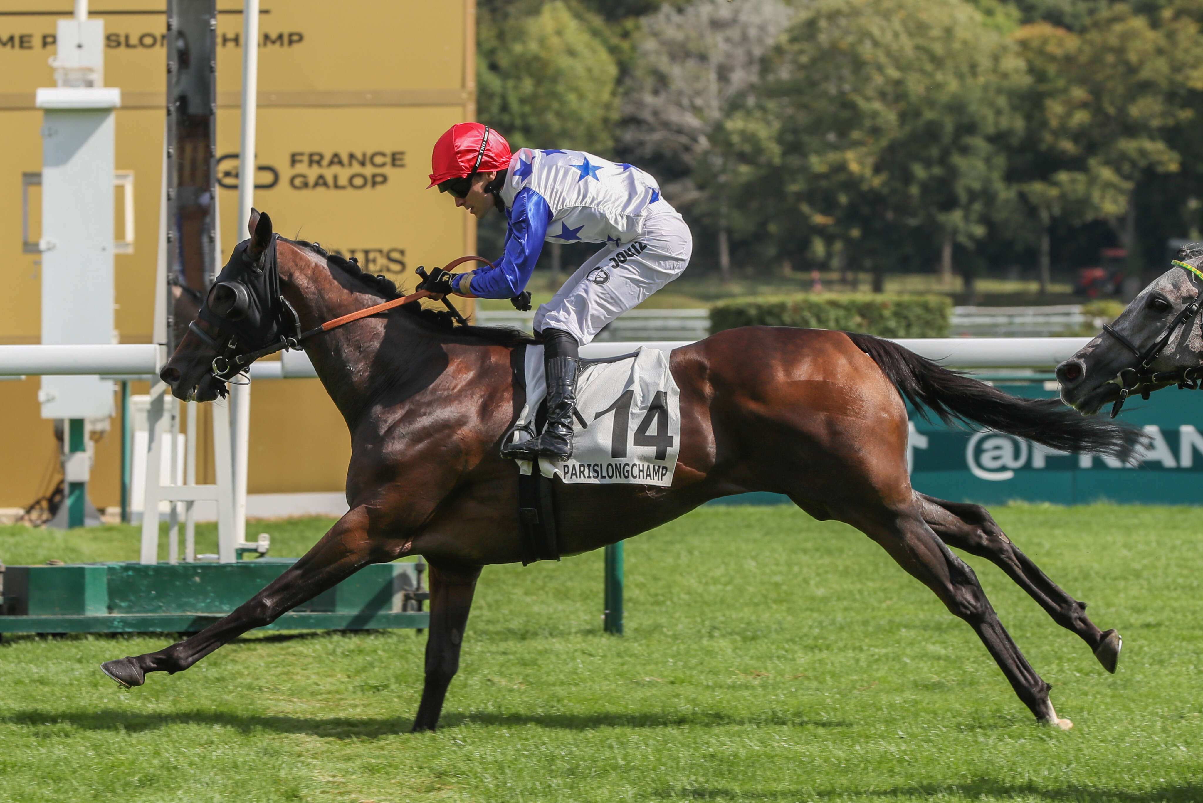 PMU - Arrivée du quinté du 1er septembre à Longchamp : Combermere réalise le triplé