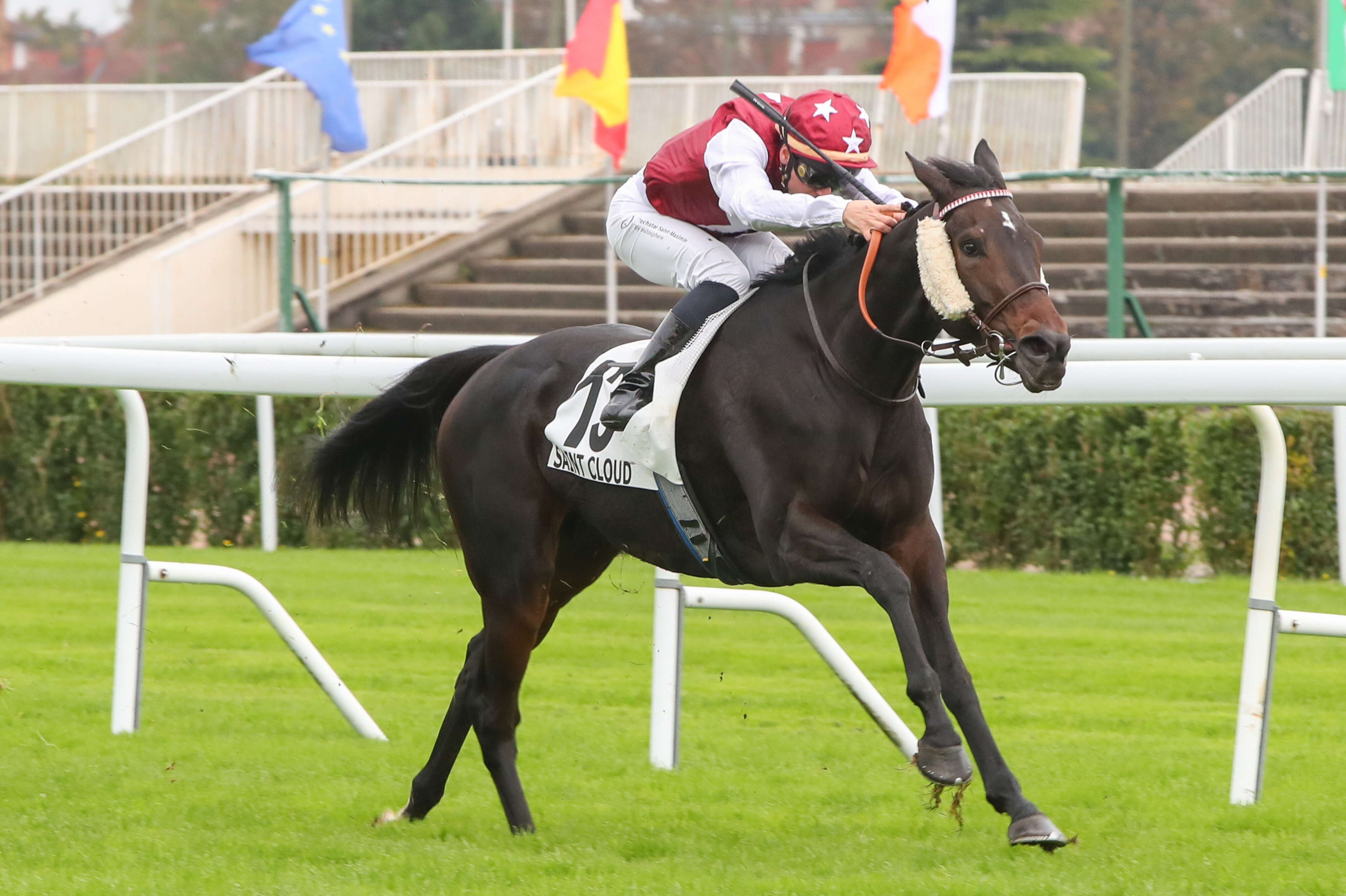 PMU – Arrivée du quinté du lundi 14 octobre à Saint-Cloud : Joh Spirit avait son terrain