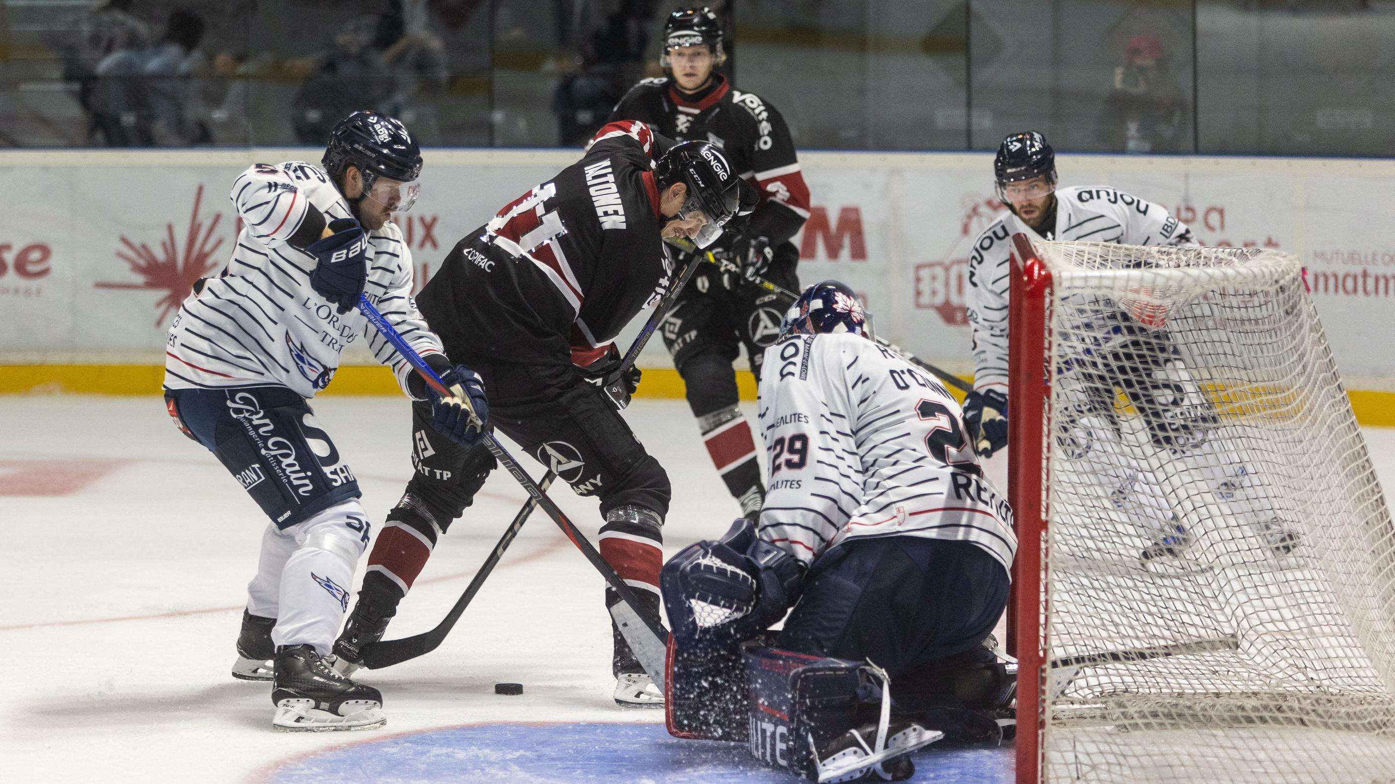 Hockey sur glace : Angers suspend son gardien après un acte de violence contre un arbitre en Ligue Magnus