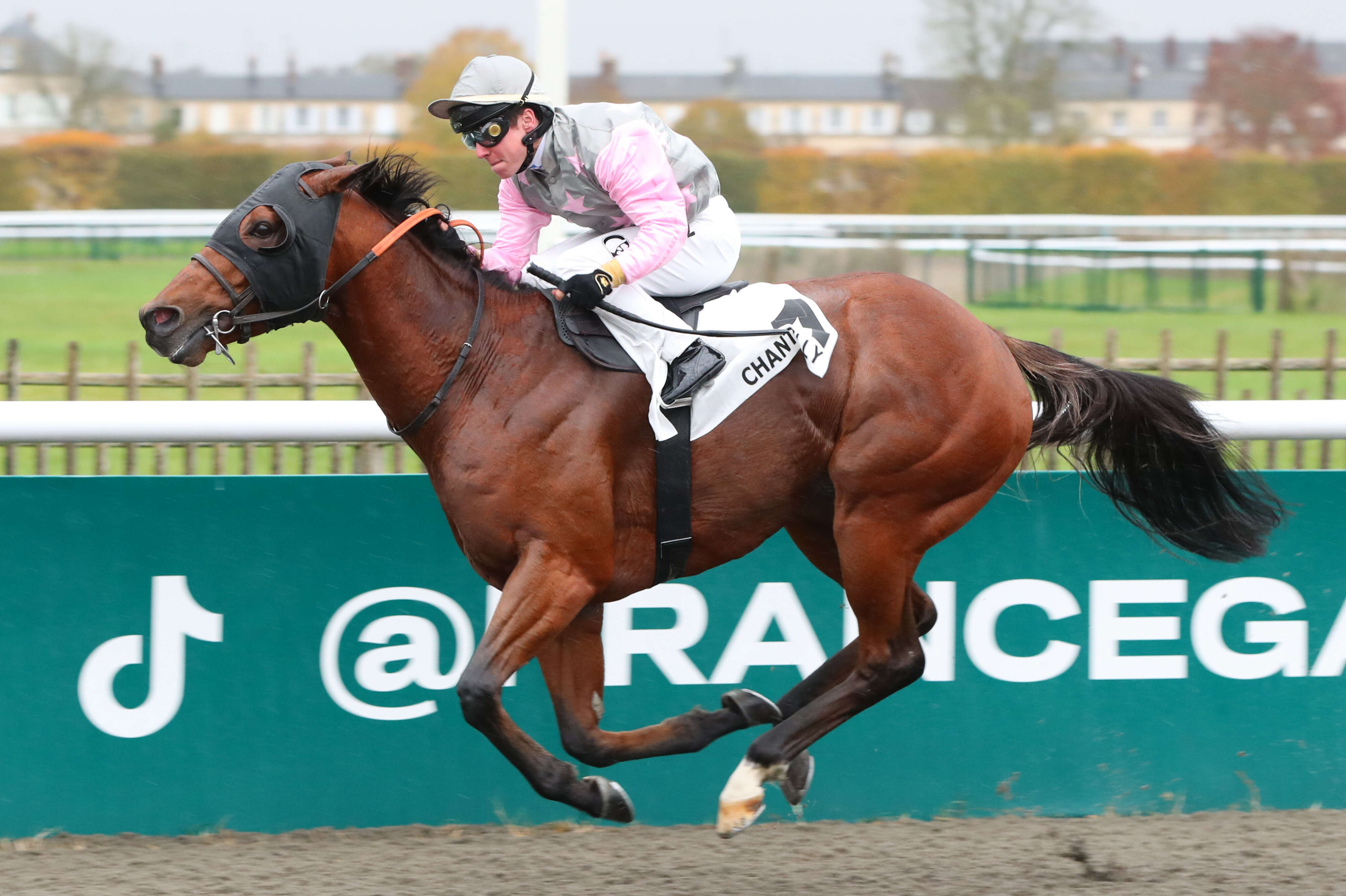 PMU – Arrivée du quinté du mardi 19 novembre à Chantilly : Pti Pedro repousse ses limites