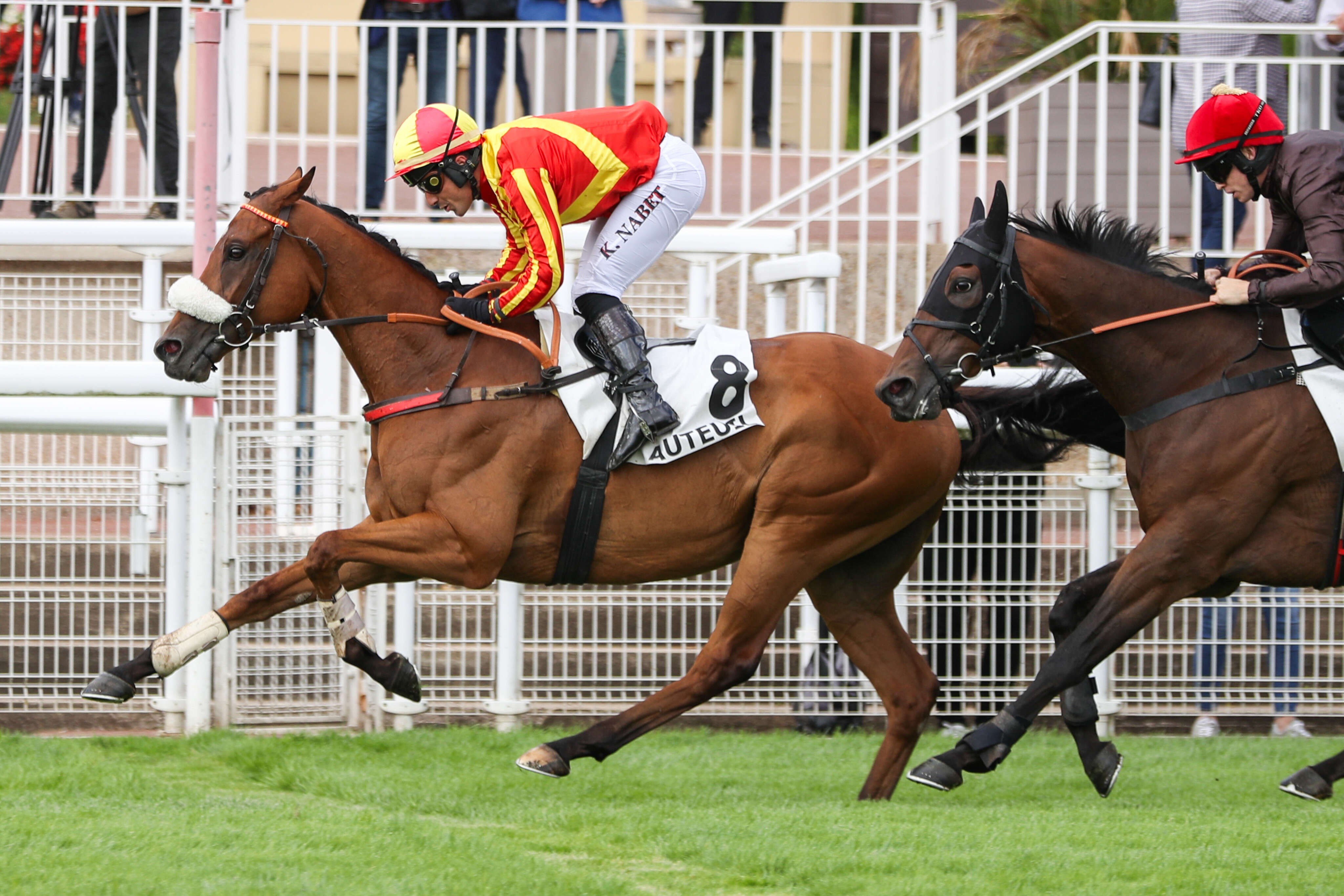 PMU - Arrivée du quinté du mardi 10 septembre à Auteuil : Rock And Roll ouvre le bal