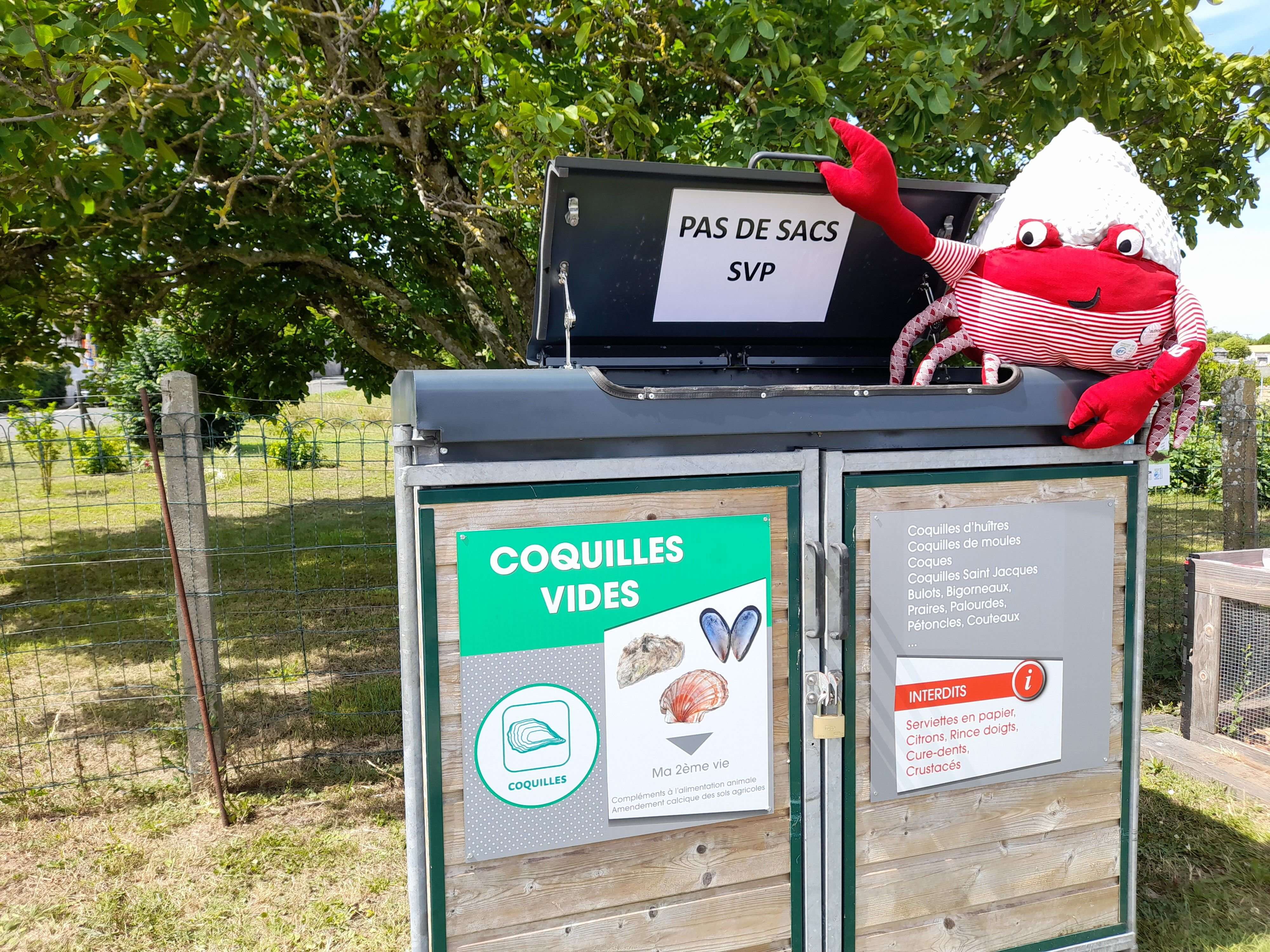 « Espérons que chacun se responsabilise » : à Oléron, le tri des coquilles d’huîtres souffre d’un manque de rigueur