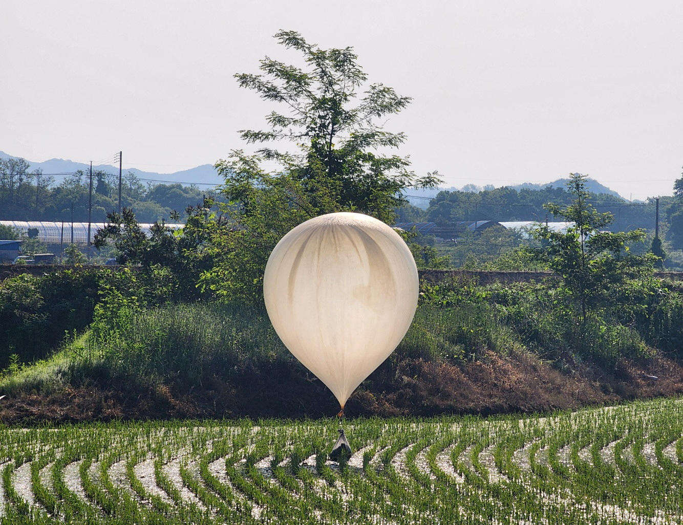 La Corée du Nord renvoie des ballons de déchets en direction du Sud, selon Séoul