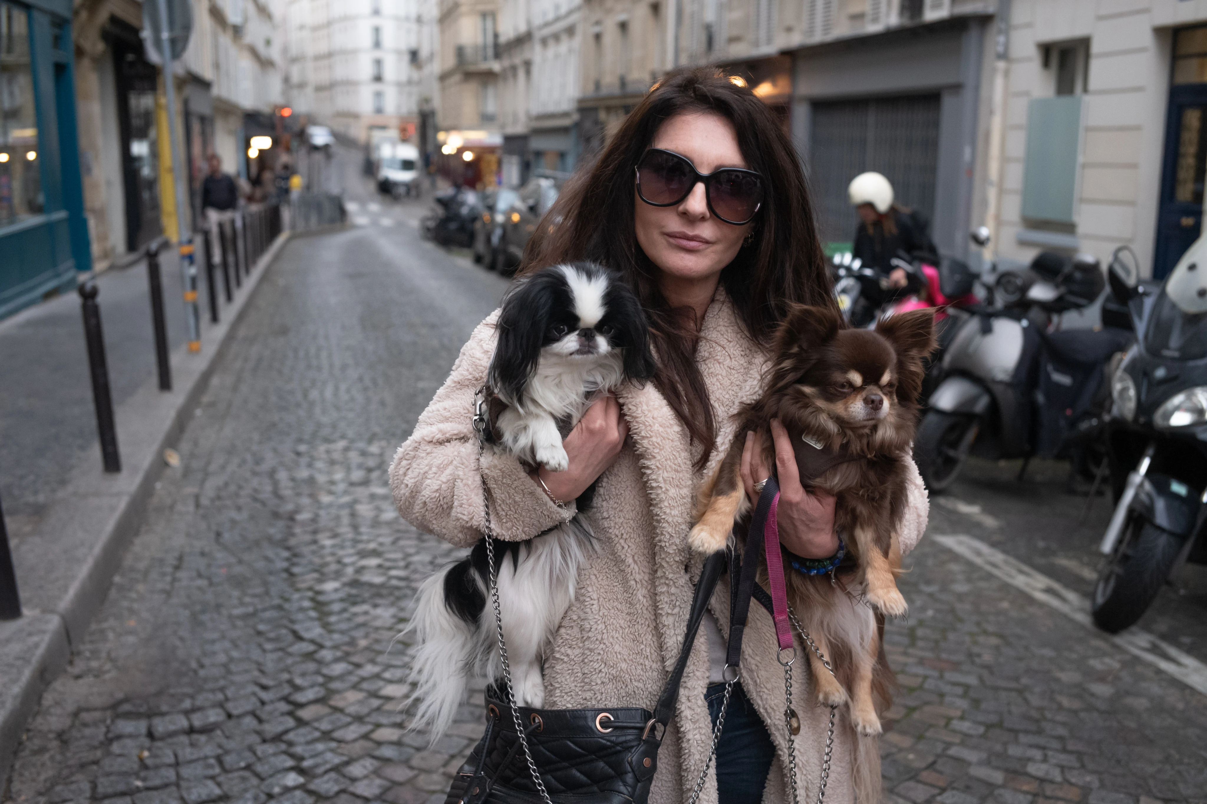 VIDÉO. Paris : après la mort d’Elvis, un chihuahua, Montmartre craint d’abriter une empoisonneuse de chiens