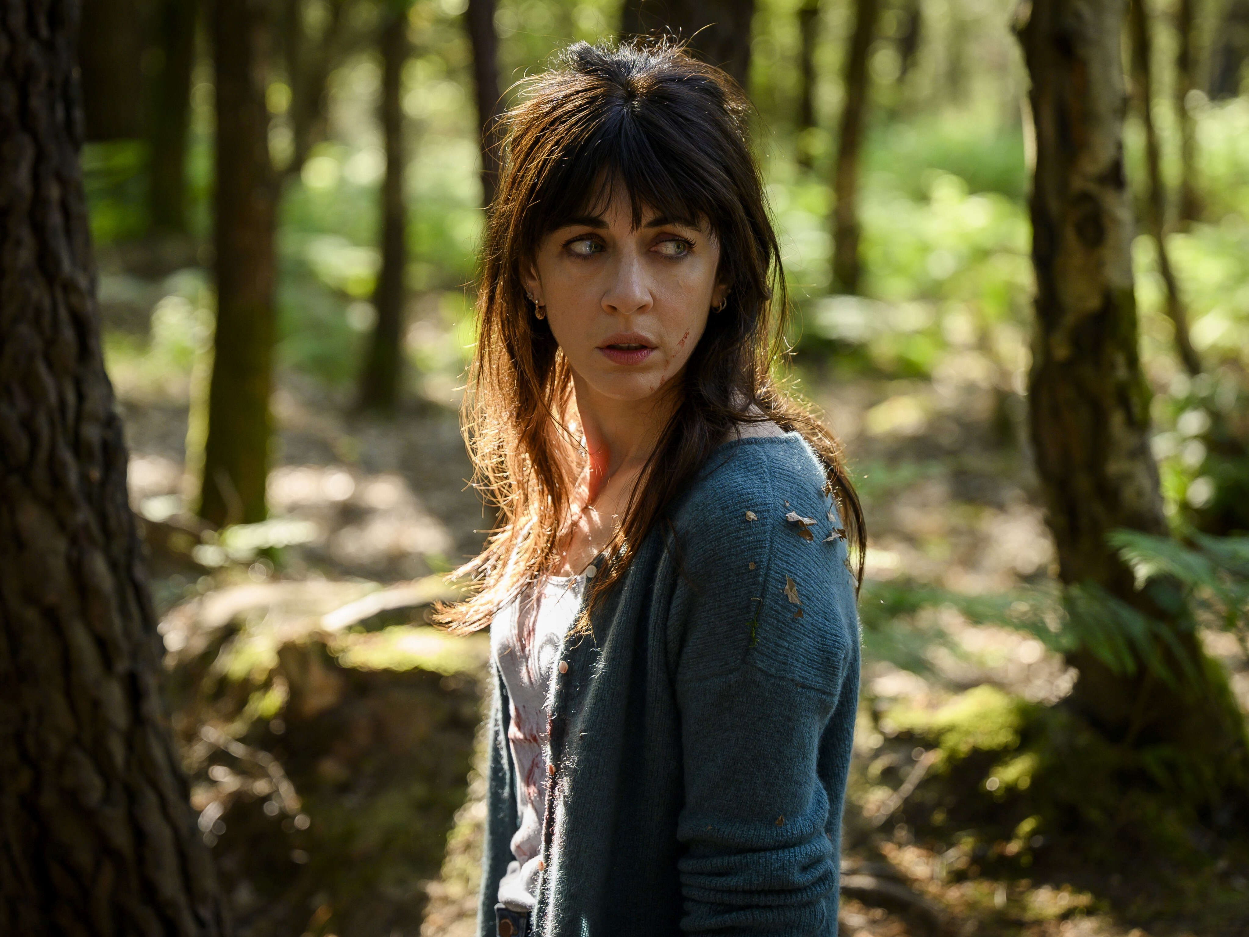 Audiences TV : « Brocéliande » sur TF 1 leader pour son lancement devant « L’Amour est dans le pré »