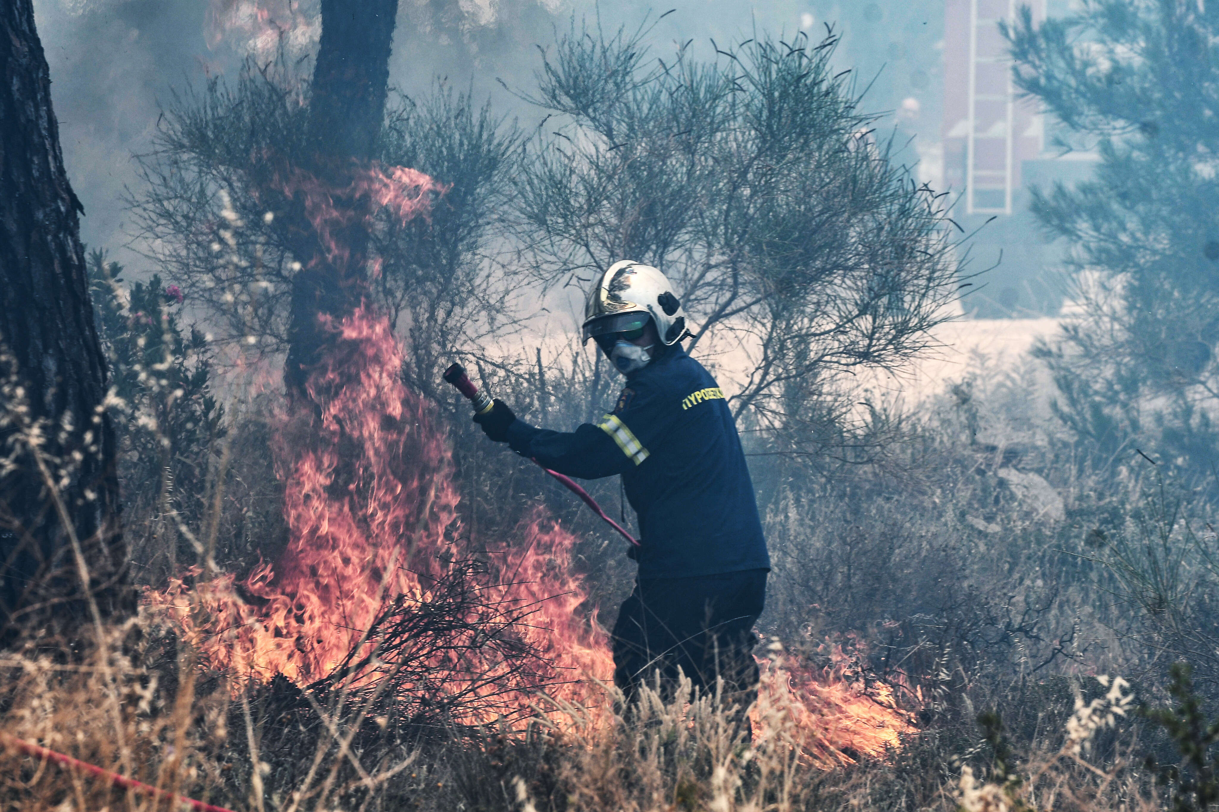 La Grèce touchée par de multiples incendies, la moitié du pays est concerné