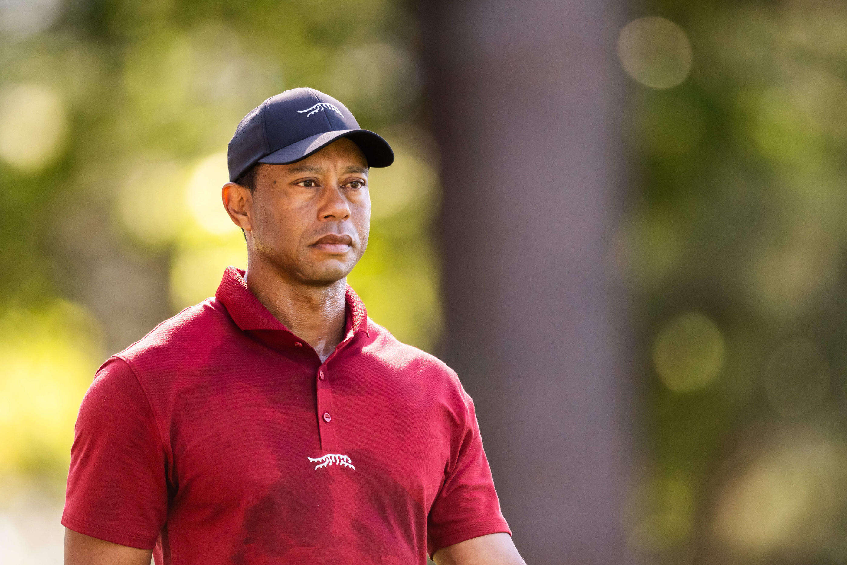 Golf : Tiger Woods et Rory McIlroy en charge de faire fusionner le PGA Tour et le circuit dissident saoudien