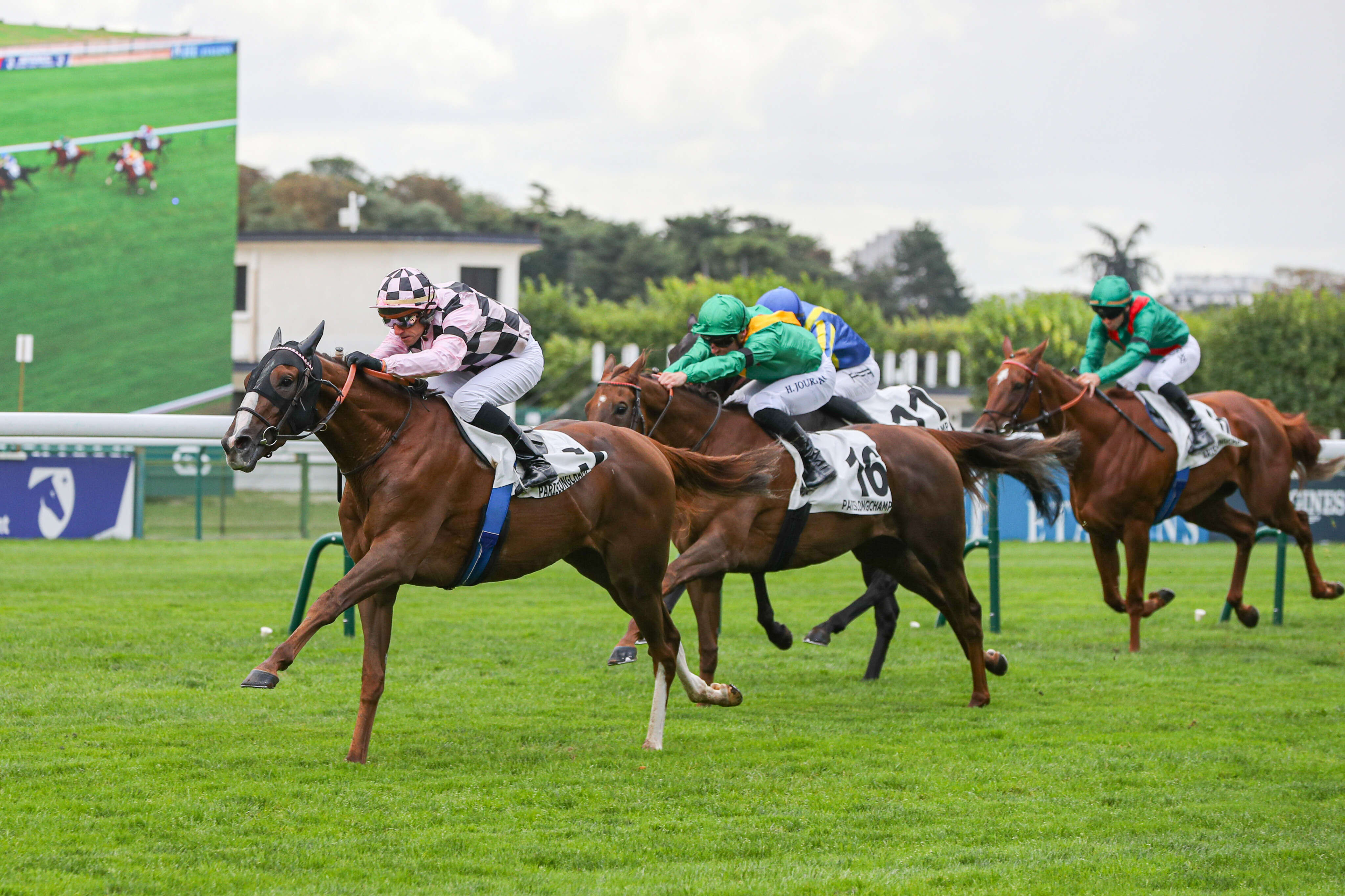 PMU - Arrivée du quinté du jeudi 12 septembre à ParisLongchamp : Newlook, une victoire de bon augure