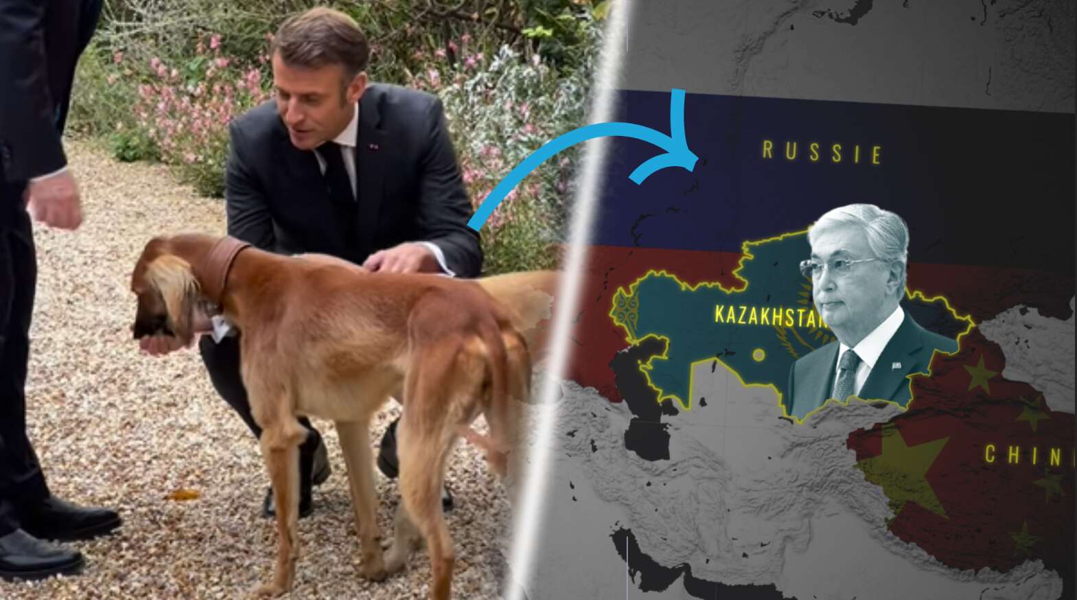 VIDÉO. Lévriers offerts par le Kazakhstan à Macron : le symbole d’une alliance stratégique