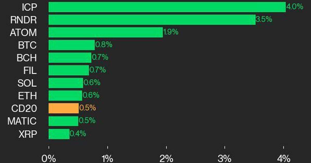 CoinDesk 20 Performance Update: ICP and RNDR Lead as Index Inches up 0.5%