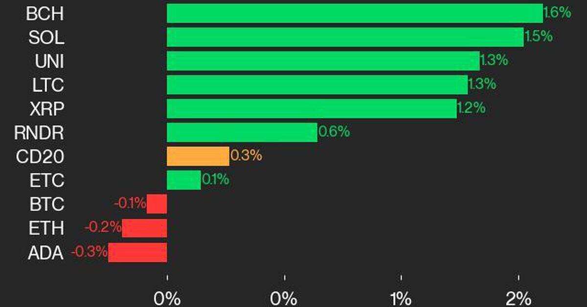 CoinDesk 20 Performance Update: BCH and SOL Gains Lead as Index Inches Up 0.3%