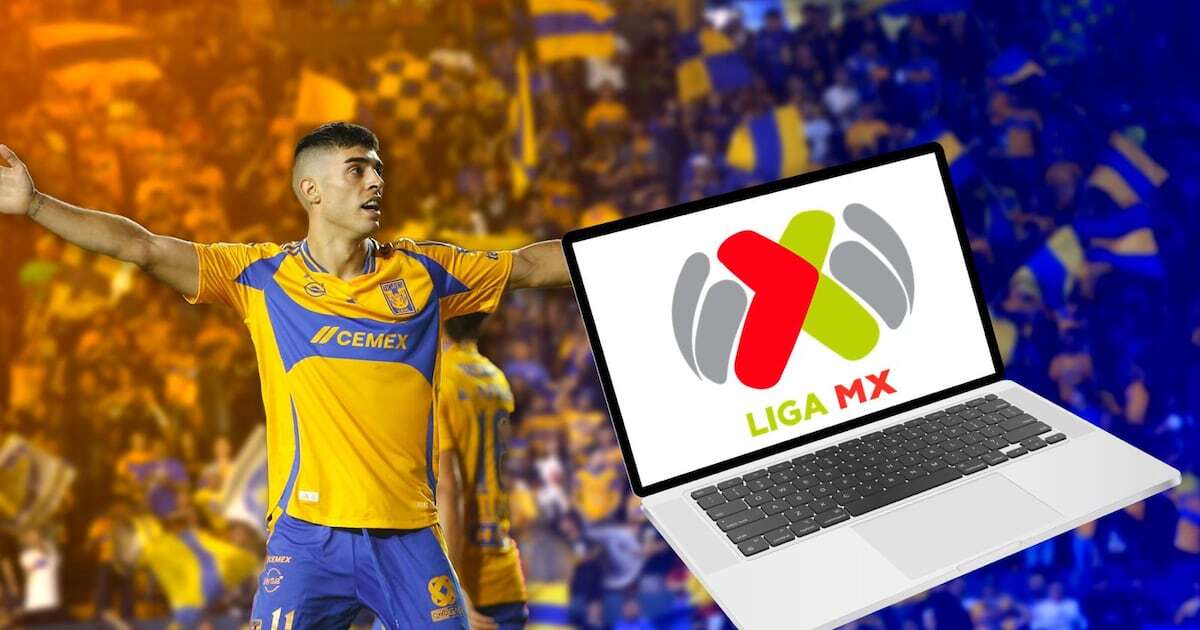 Jornada 17 Liga MX: ¿Quién juega HOY sábado 9 de noviembre y dónde ver EN VIVO el Apertura 2024?