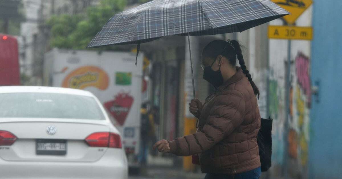 Se forma tormenta tropical ‘Francine’: ¿Qué estados tendrán lluvias intensas hoy? Sigue su trayectoria