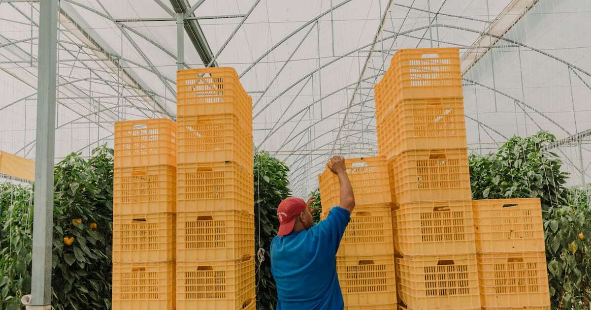 Avizoran opciones para México ante aranceles de Trump