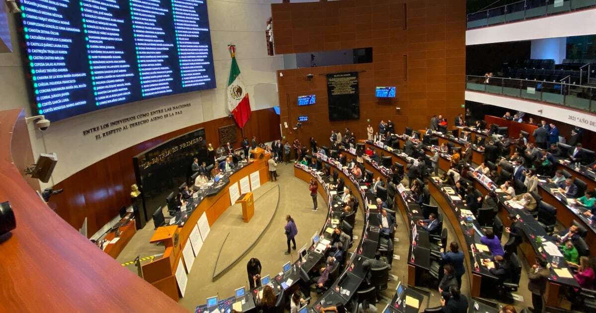 Le dan el ‘sí' a propuesta de igualdad sustantiva de Sheinbaum: Senado la aprueba; ¿qué significa? 