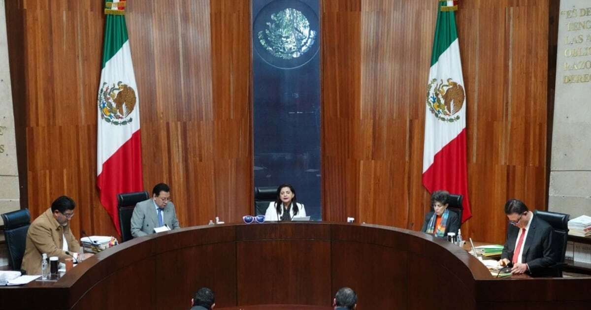 TEPJF ordena continuar elección en Poder Judicial; denunciará ante la FGR a jueces que suspendieron proceso 