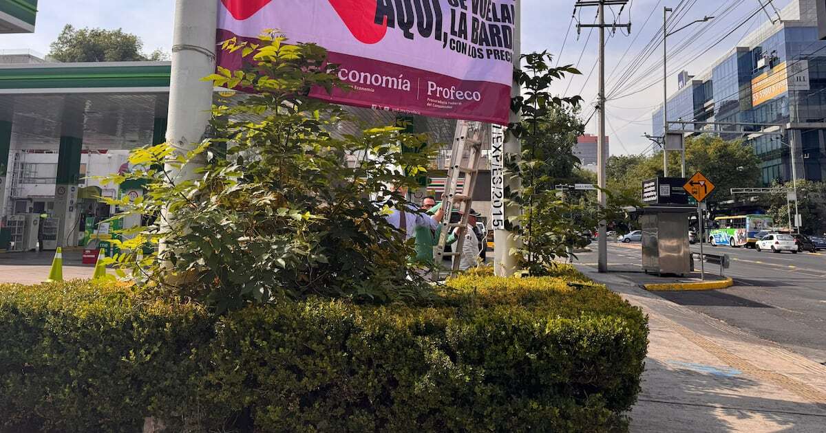 Exhibidas por ‘gandallas’: Profeco coloca sellos en gasolineras por precios elevados en CDMX y Edomex