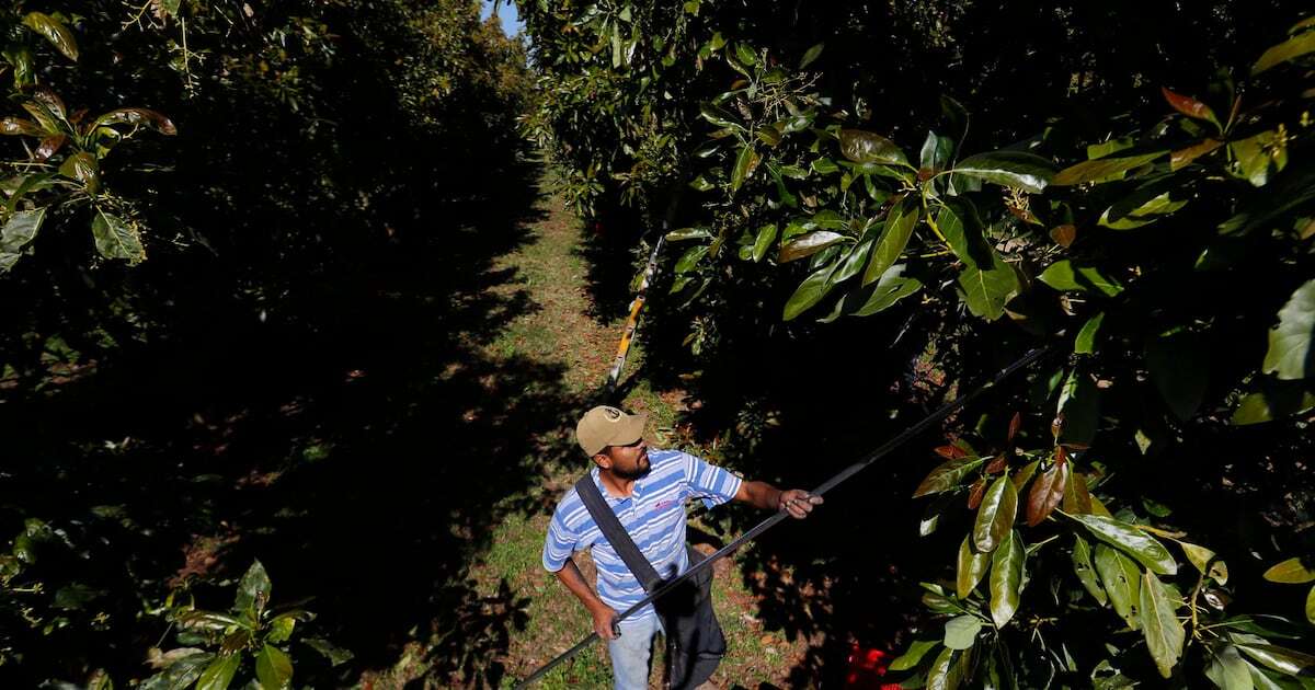 Aranceles a México: Estas son las claves en la relación comercial de ‘amor-odio’ con EU