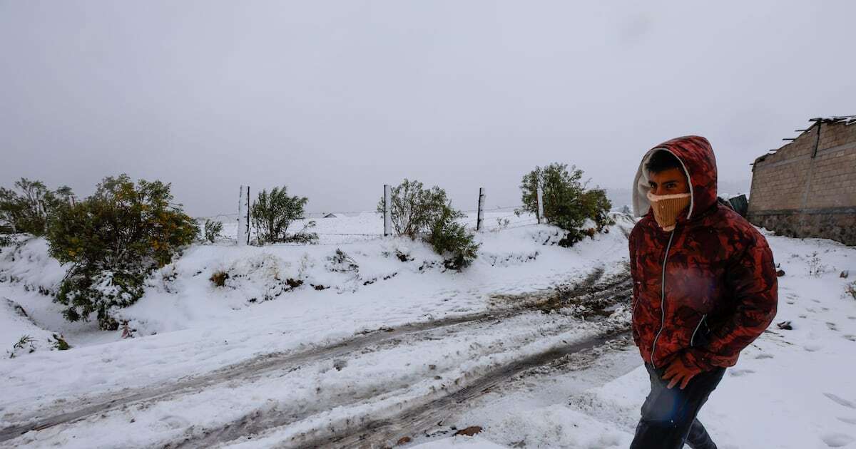 Frío, apiádate de los solteros: ¿Qué estados tendrán bajas temperaturas este 11 de noviembre? 