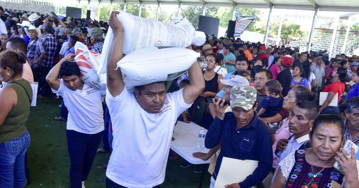 Sheinbaum ‘le echa la mano’ al campo: Así puedes aplicar al  programa Fertilizantes para el Bienestar 