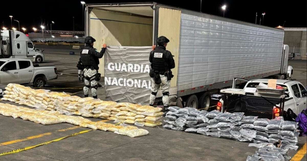 ¿Ya viste, Trump? Guardia Nacional decomisa más de media tonelada de drogas en frontera con EU