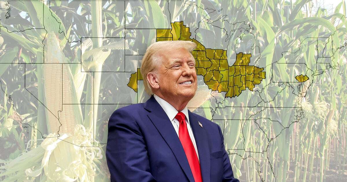 ¿Qué es el ‘Corn Belt’, la región republicana que podría protestar por aranceles de Trump a México?