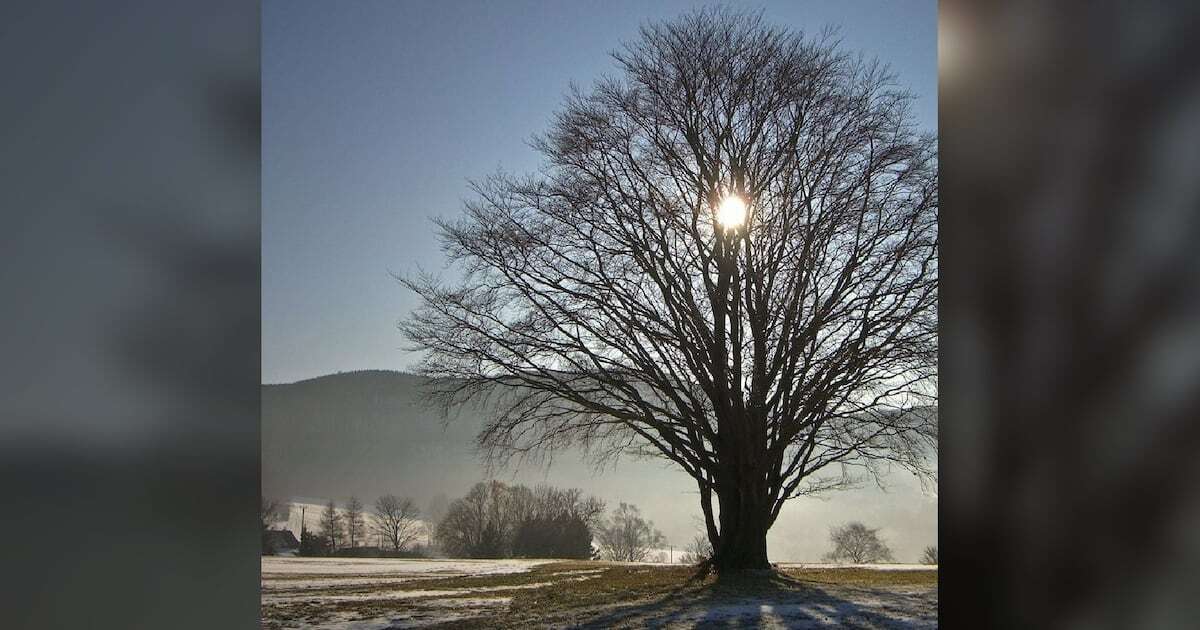 Solsticio de invierno 2024: ¿Cuándo es y por qué será el día más corto del año? 