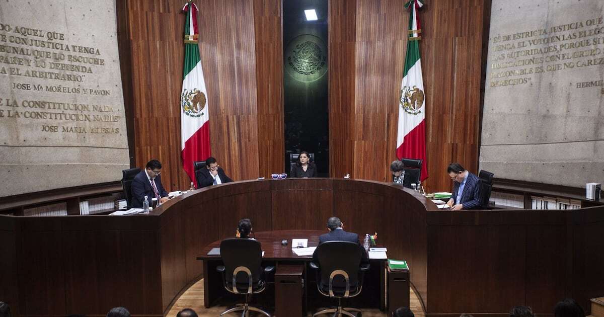 Tribunal Electoral ‘pulveriza’ amparos contra reforma judicial; da ‘luz verde’ a elección de jueces