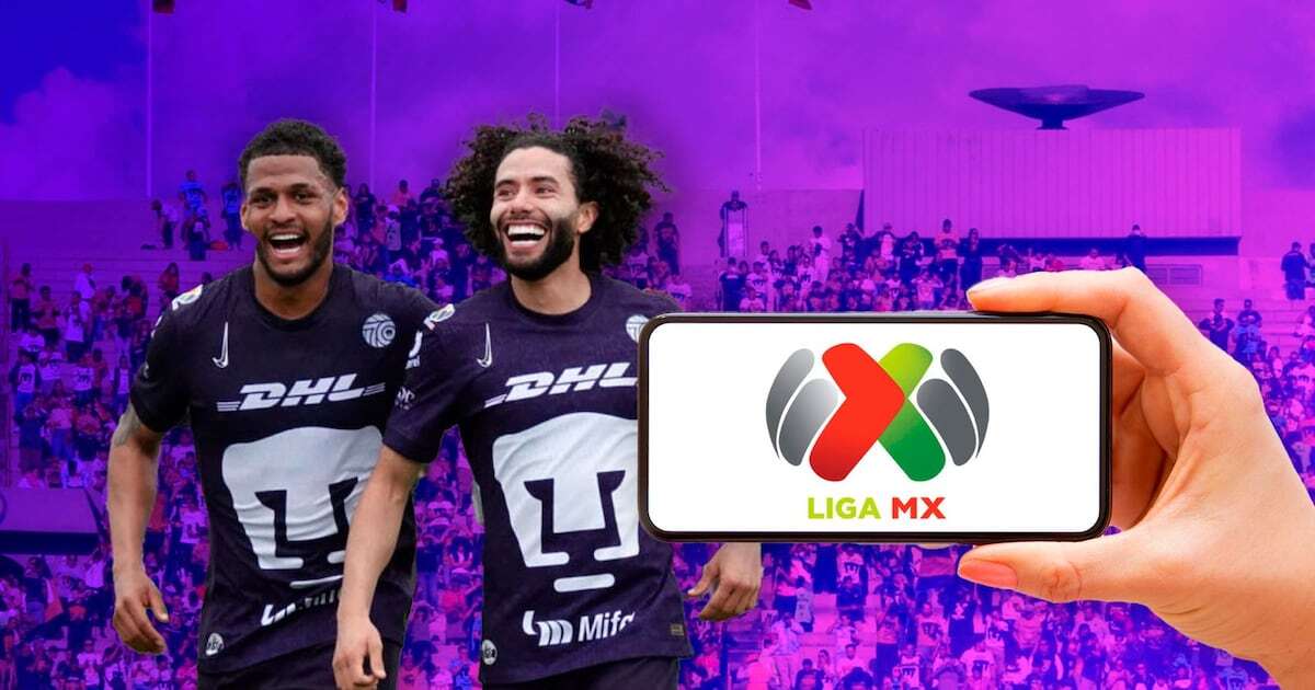 Jornada 15 de la Liga MX: ¿Quién juega hoy sábado 2 de noviembre y dónde ver EN VIVO el Apertura 2024?