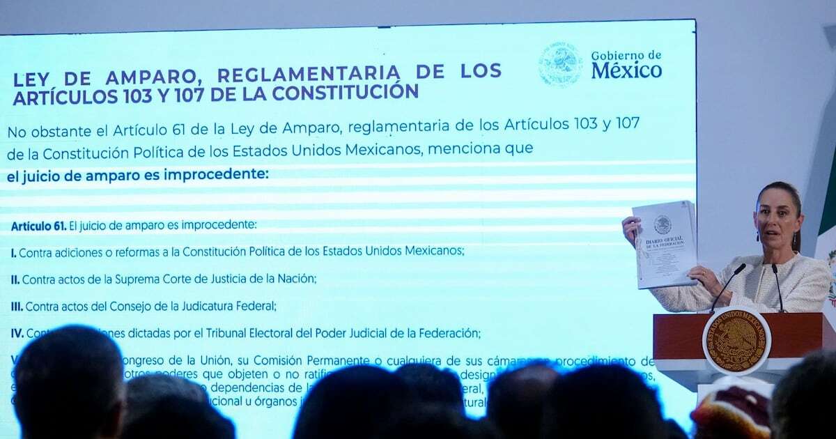 ‘Que Harvard investigue la corrupción en la Suprema Corte’: Sheinbaum responde a burlas por reforma al Poder Judicial