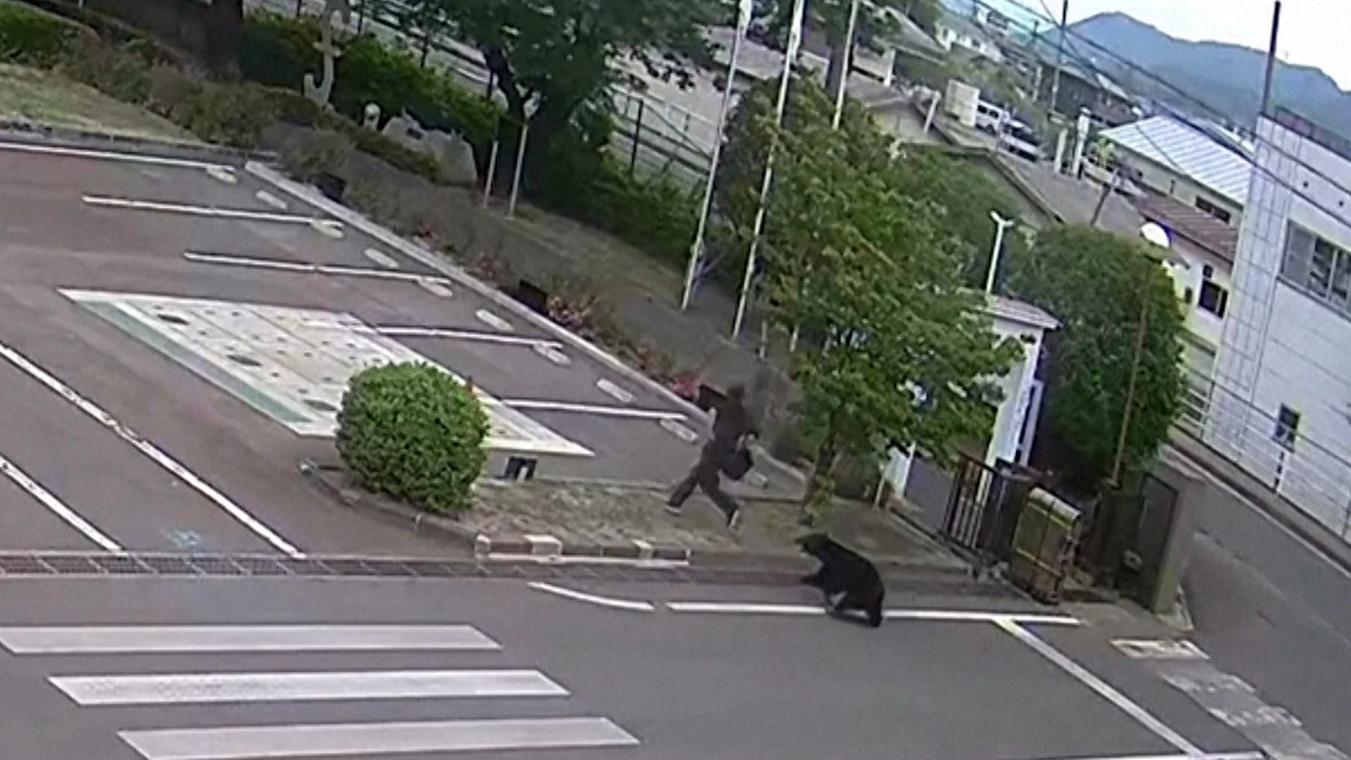 Un oso ataca a cuatro personas en medio de la ciudad de Fukushima